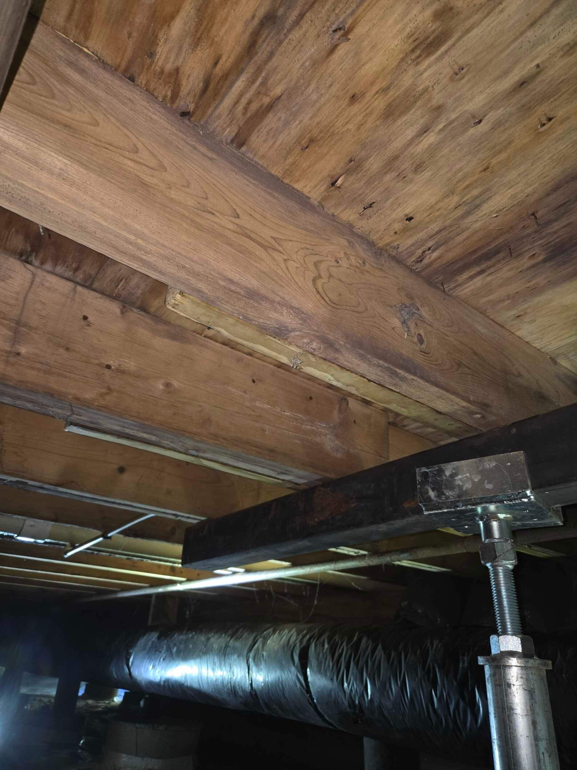 Marline D by Guardian Foundation Repair LLC