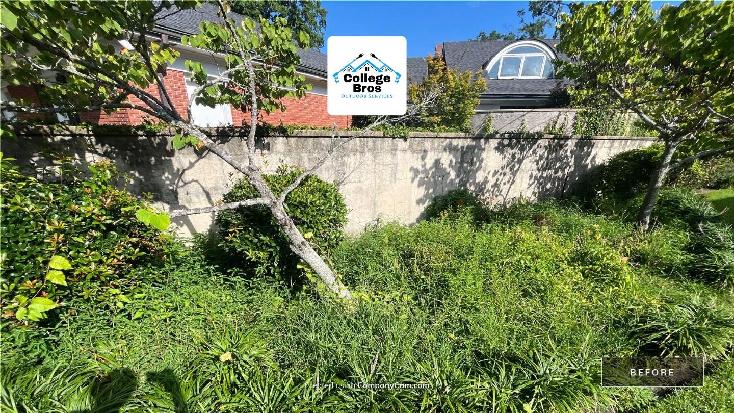 Landscaping Monroe La  by College Bros Outdoor services