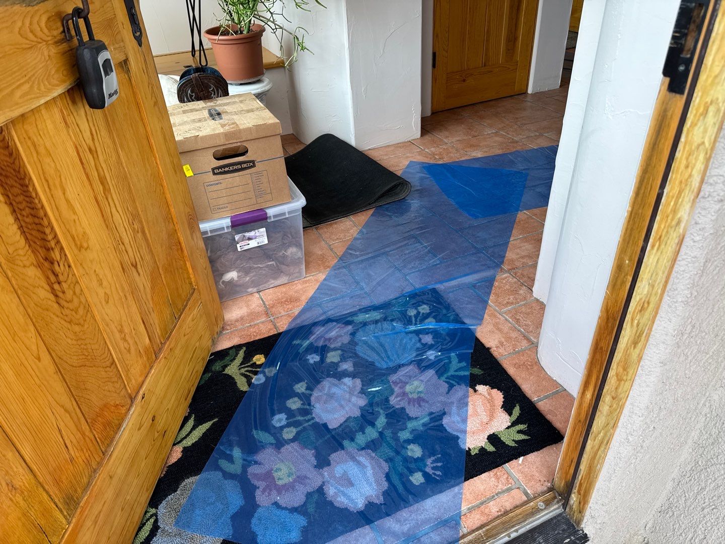 Mold Damage Project in Castle Rock by Accountable Home Services