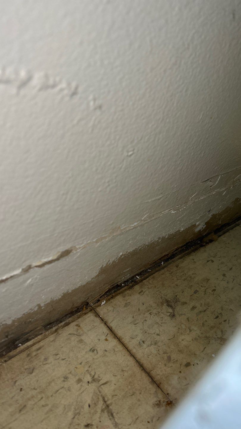 Mold Remediation by Accountable Home Services