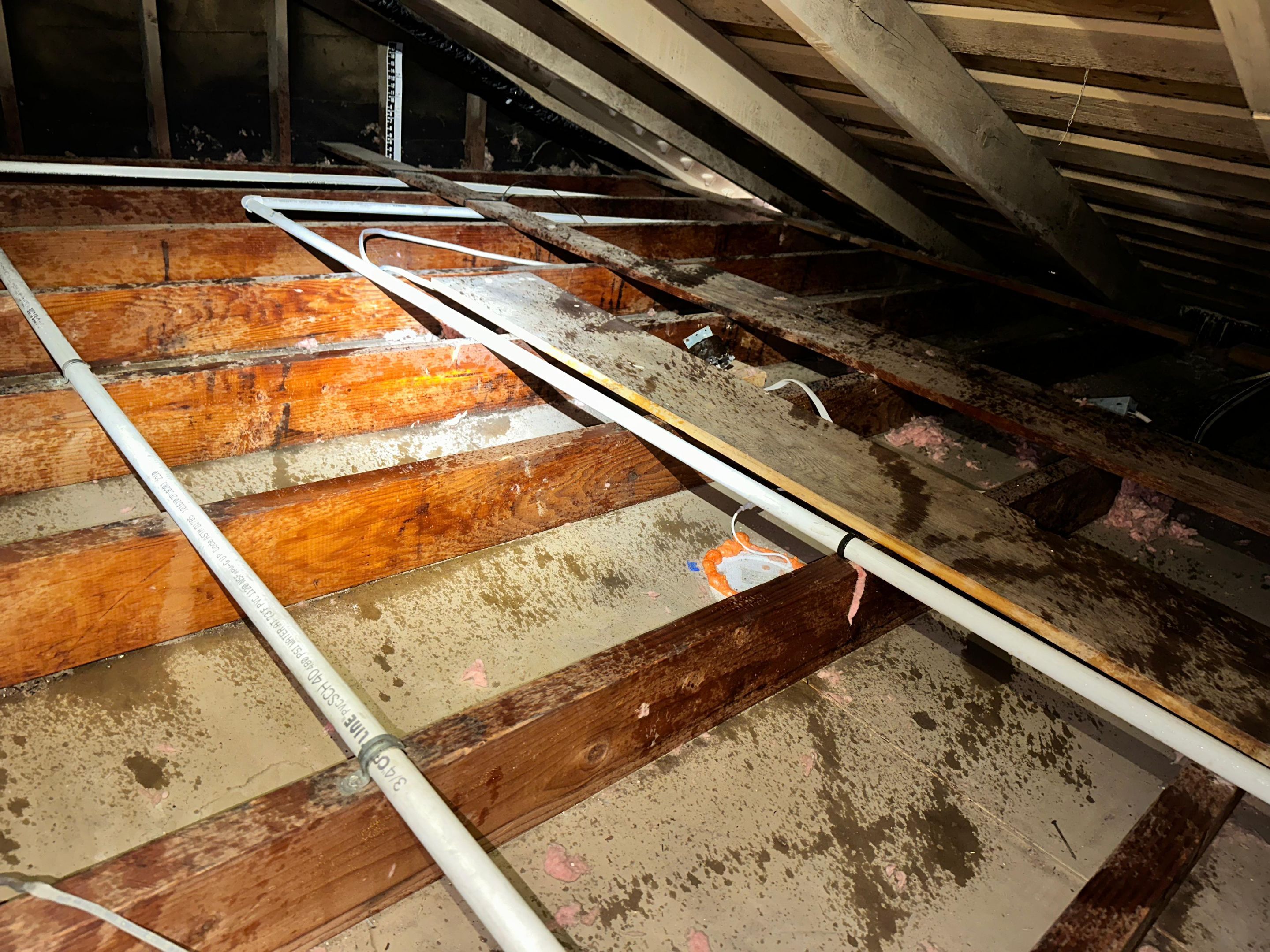 Project in Lomita by Insulation Labs