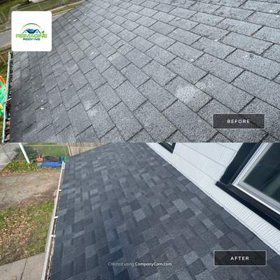 Onyx Black Shingles