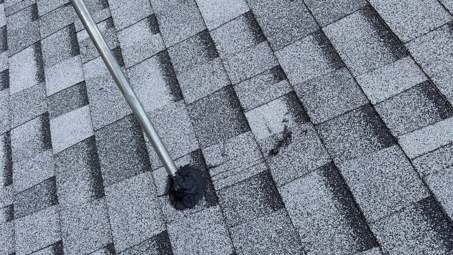 Project in Calfax  by NuLead Construction Inc