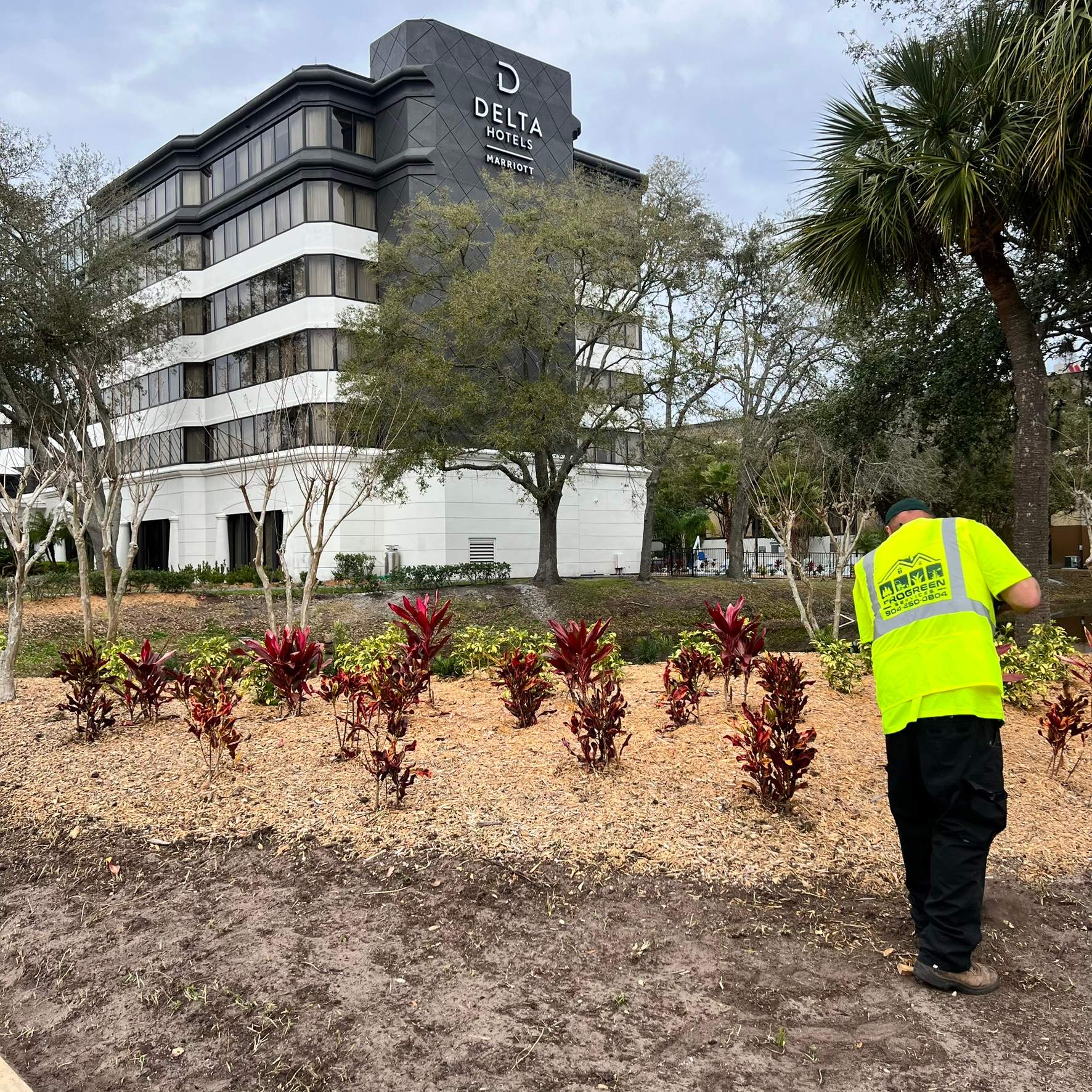 Landscape Install | Marriott Hotel by ProGreen Services