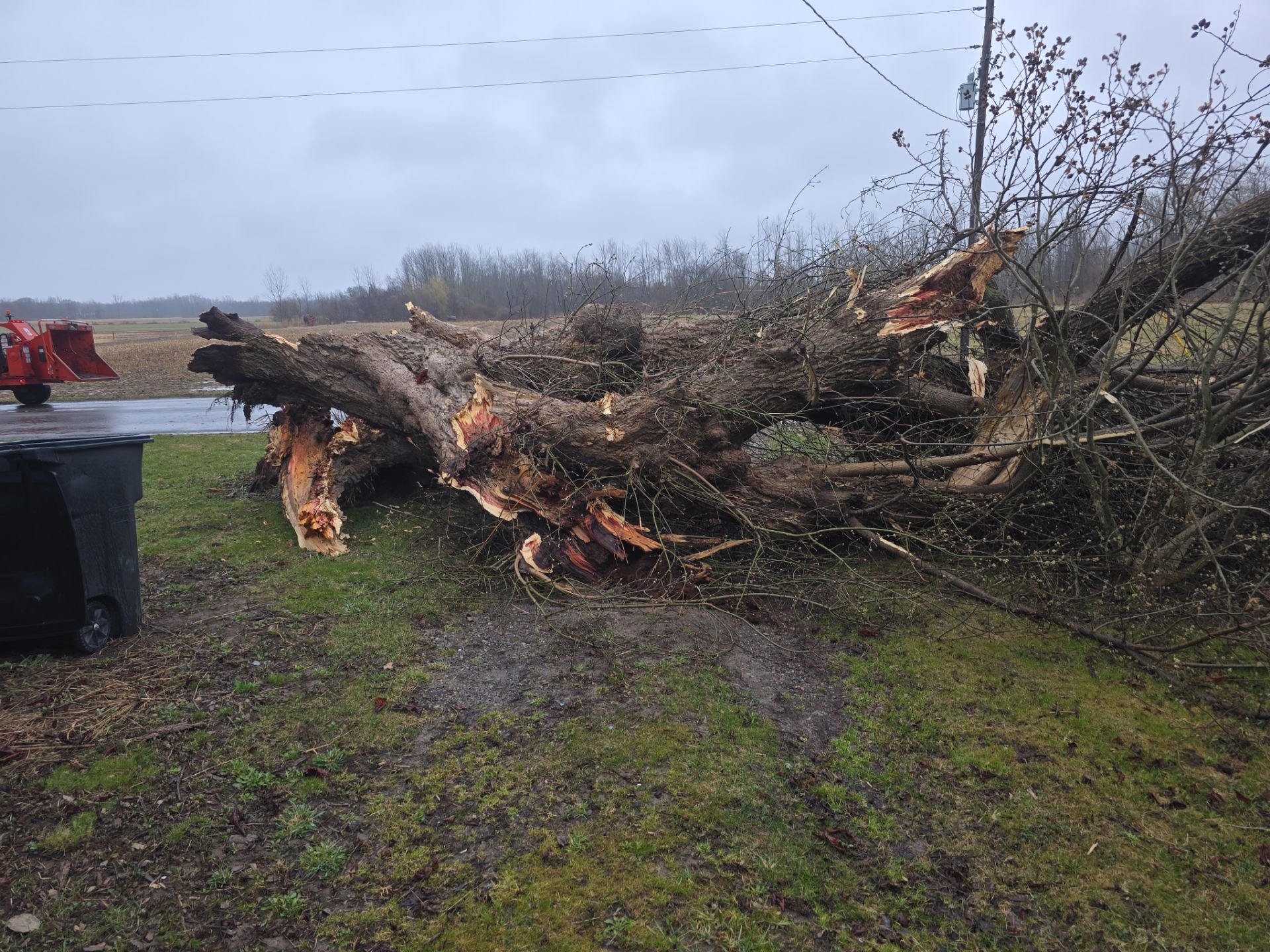 Emergency Job using Bobcat by Treeman Tom LLC