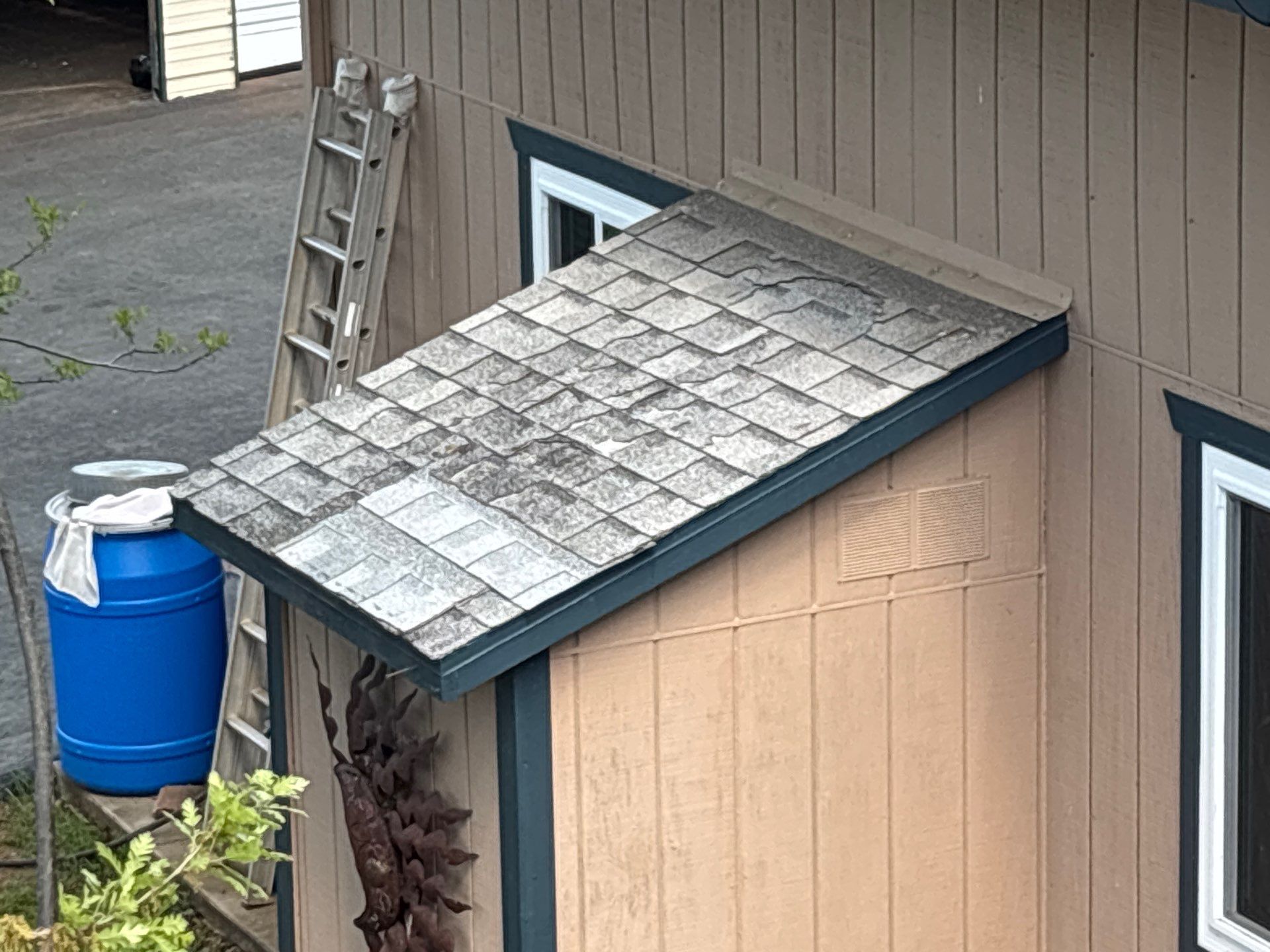 Roof Rejuvenation using Roof Maxx Treatment by Roof Maxx of Folsom