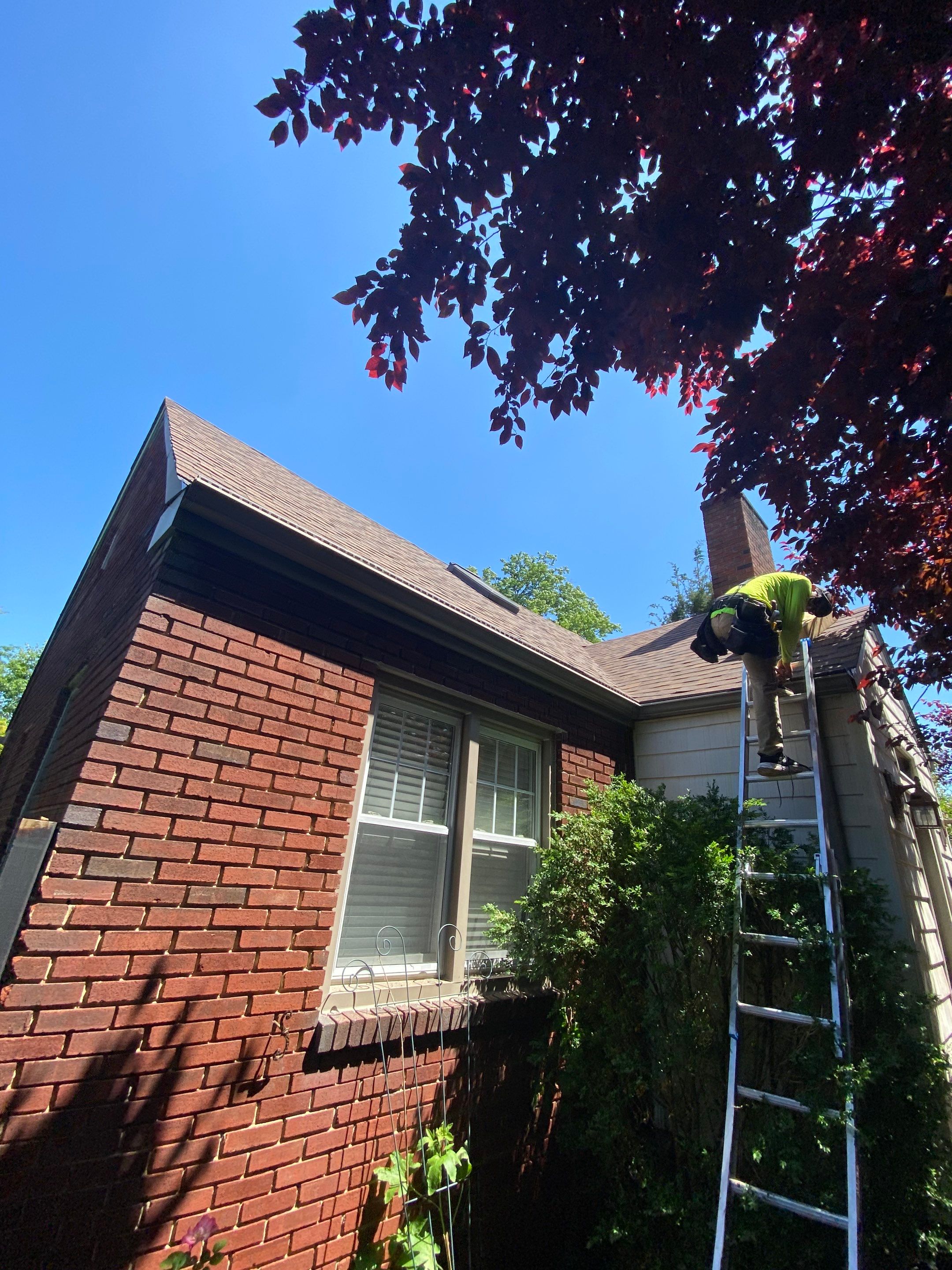 Desert Tan Shingles by Reimagine Roofing