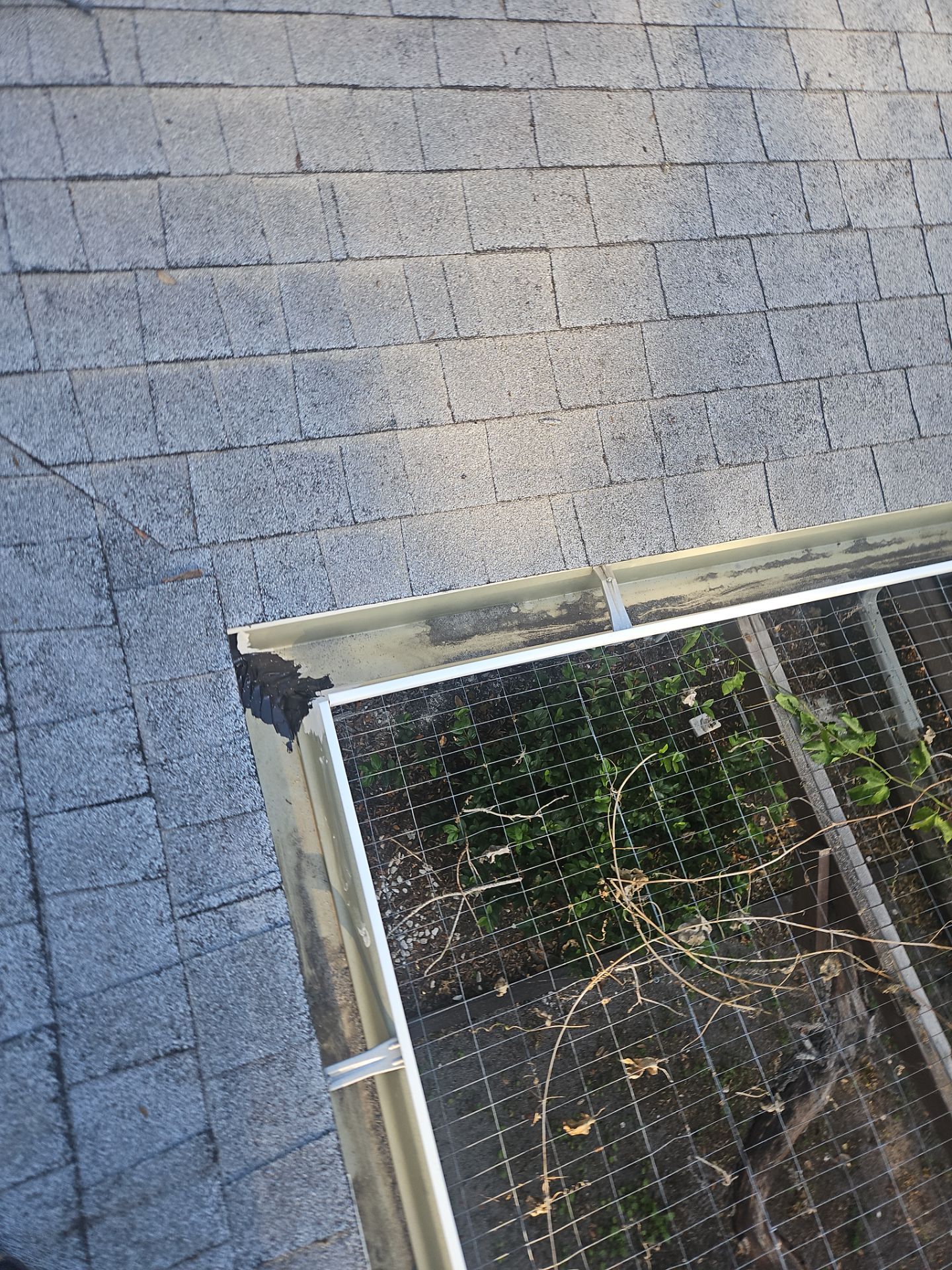 Cleaning Gutters in Sarasota FL by Gutter Professors