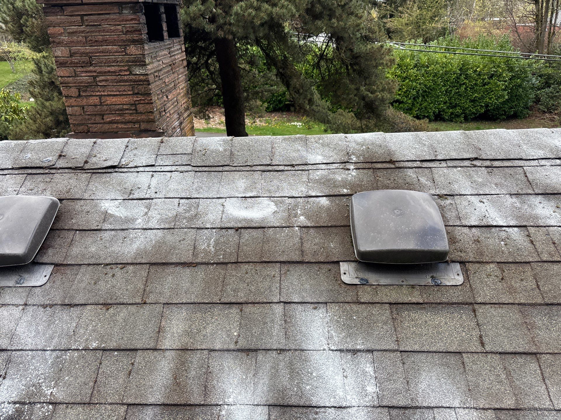 Roof Maintenance in West Linn by Prodigy Roof Solutions