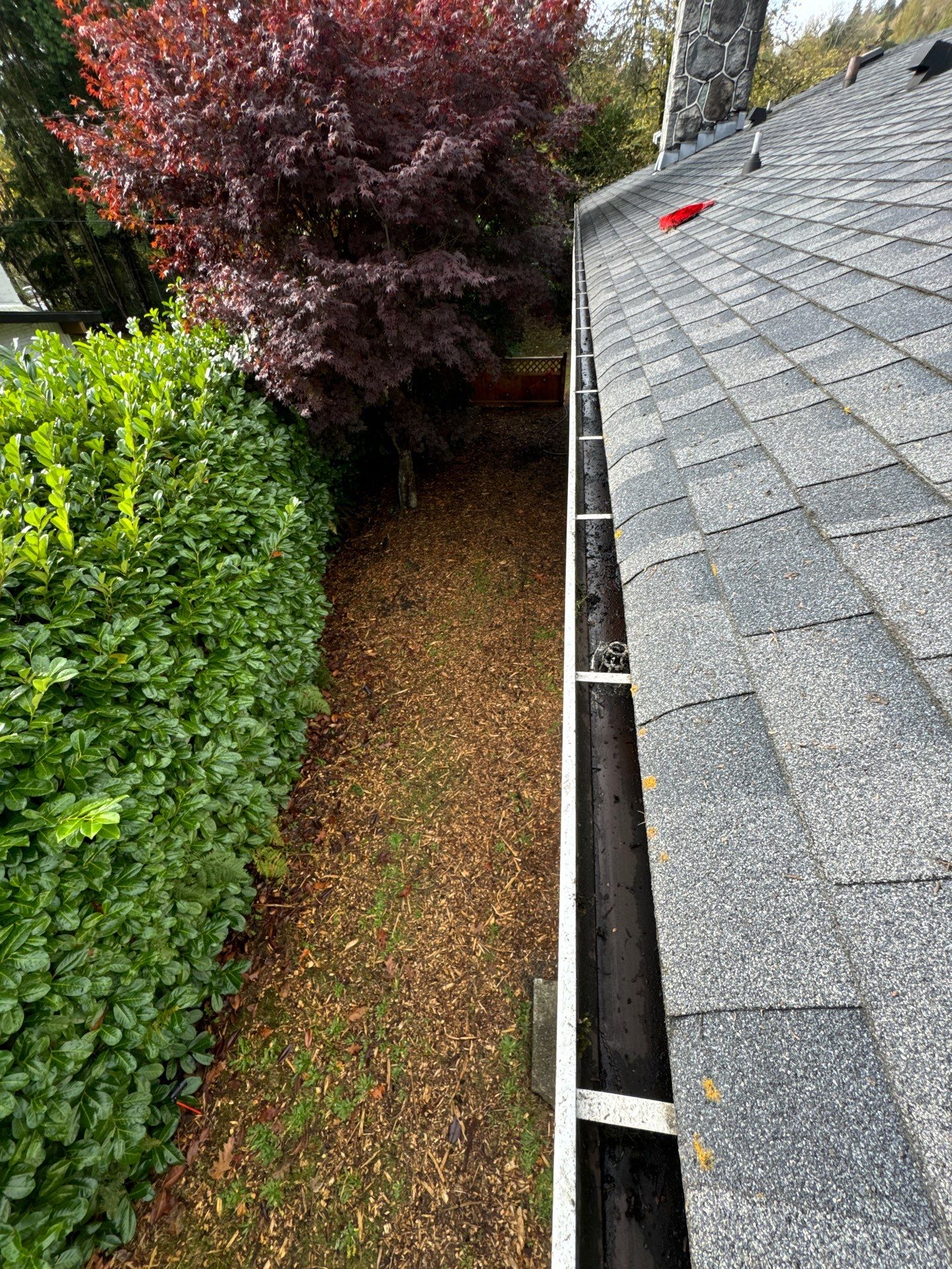 Gutter Cleaning- Taylor Way by YVR Construction Group