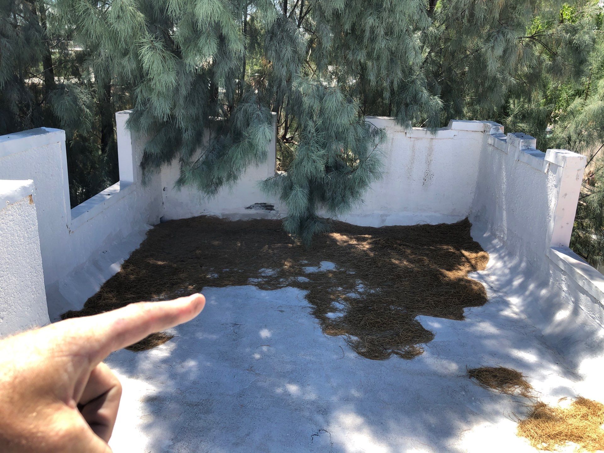 Spray Polyurethane Foam by Reimagine Roofing