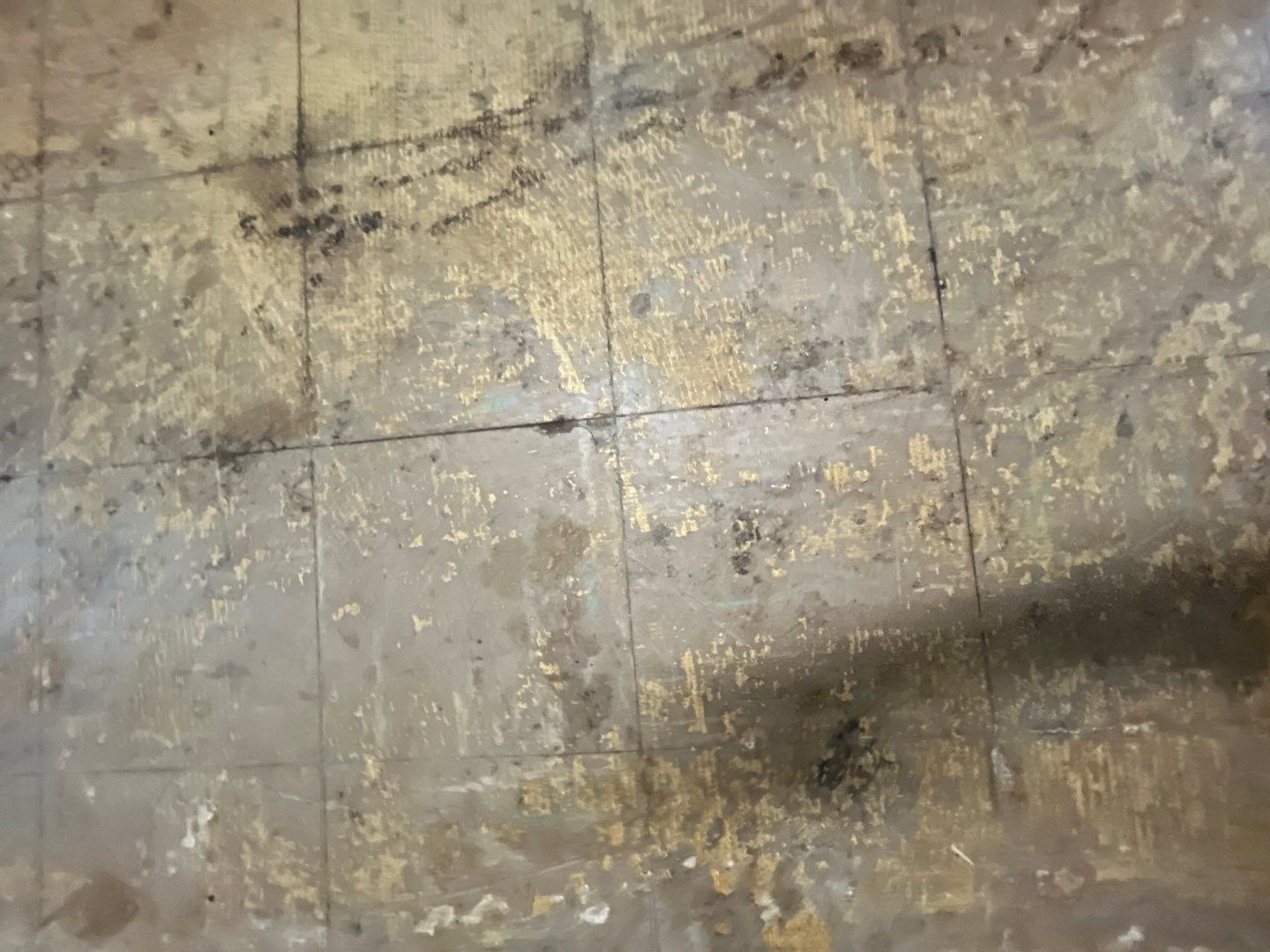 Commercial Abatement by EAS Environmental, LLC.