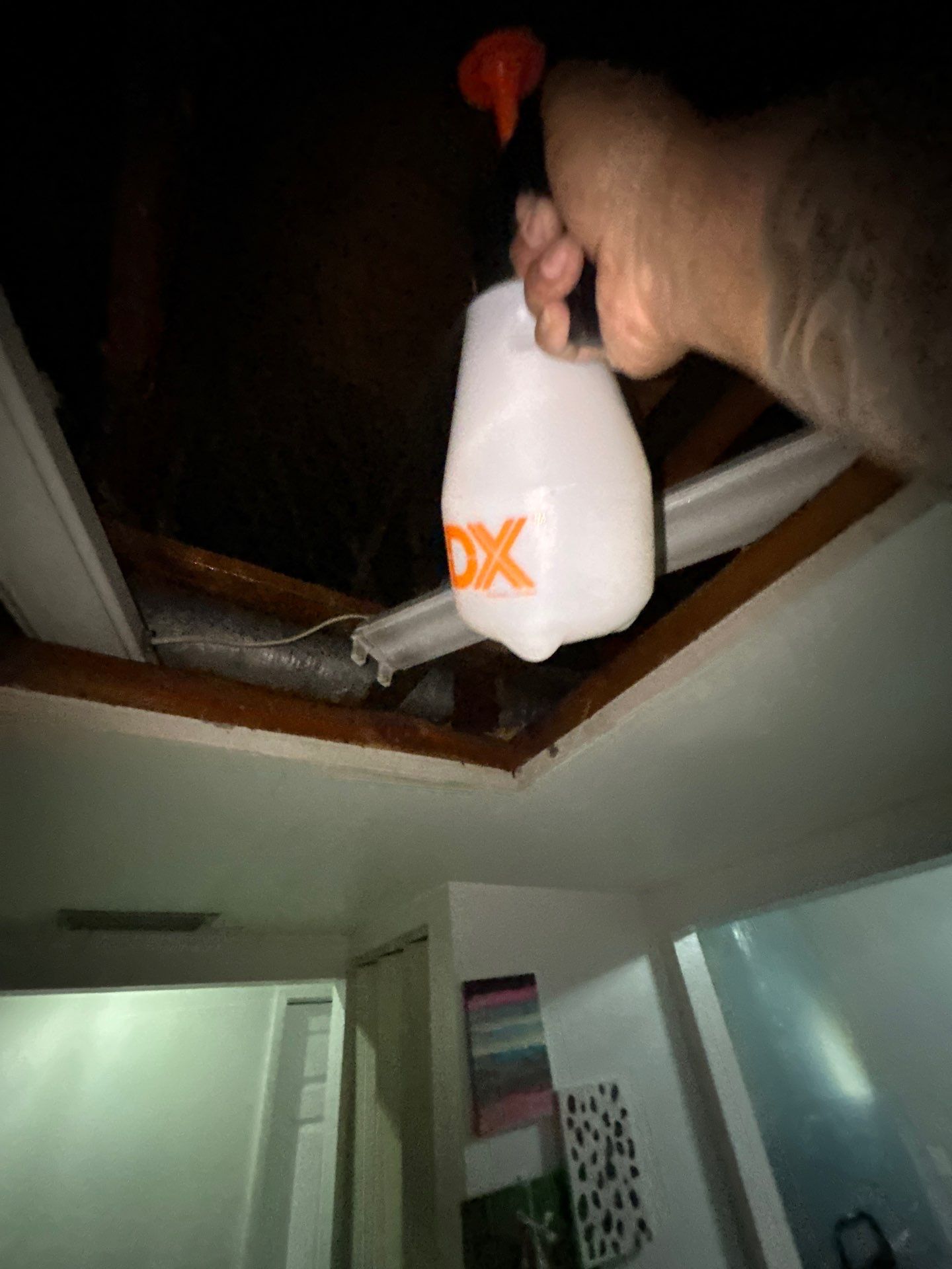 Mold Removal In Sarasota Florida by Ampm Restoration Services