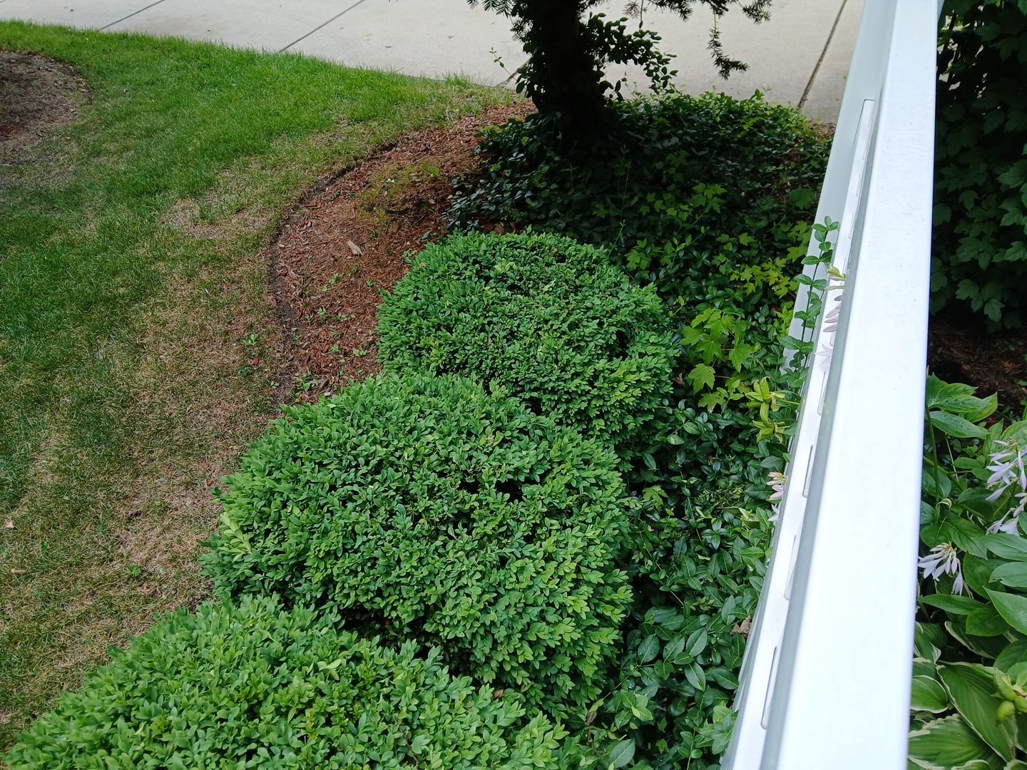 Michael I. - Glenview, IL by A&N 