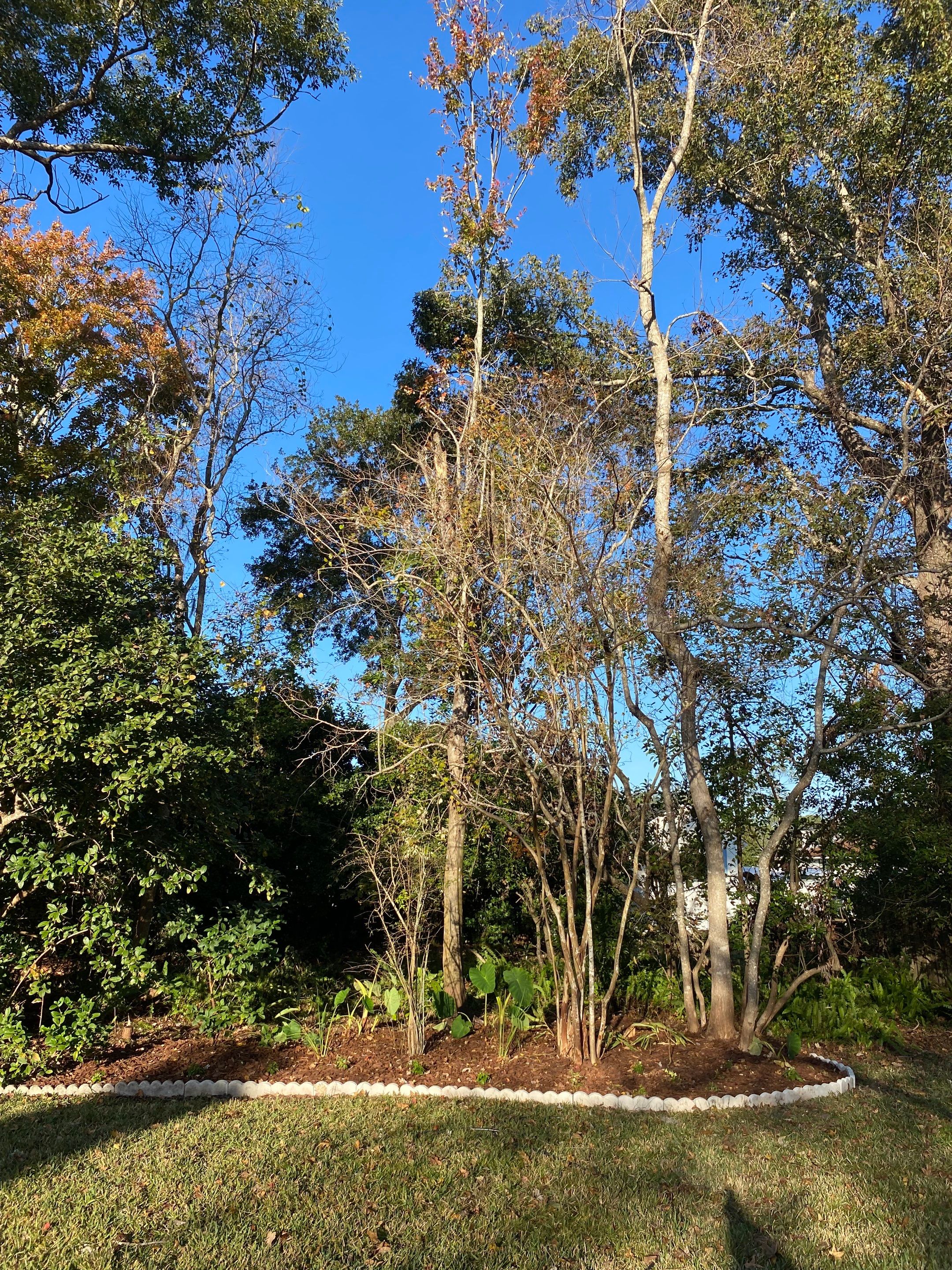 Deerwood | Tree Service by ProGreen Services