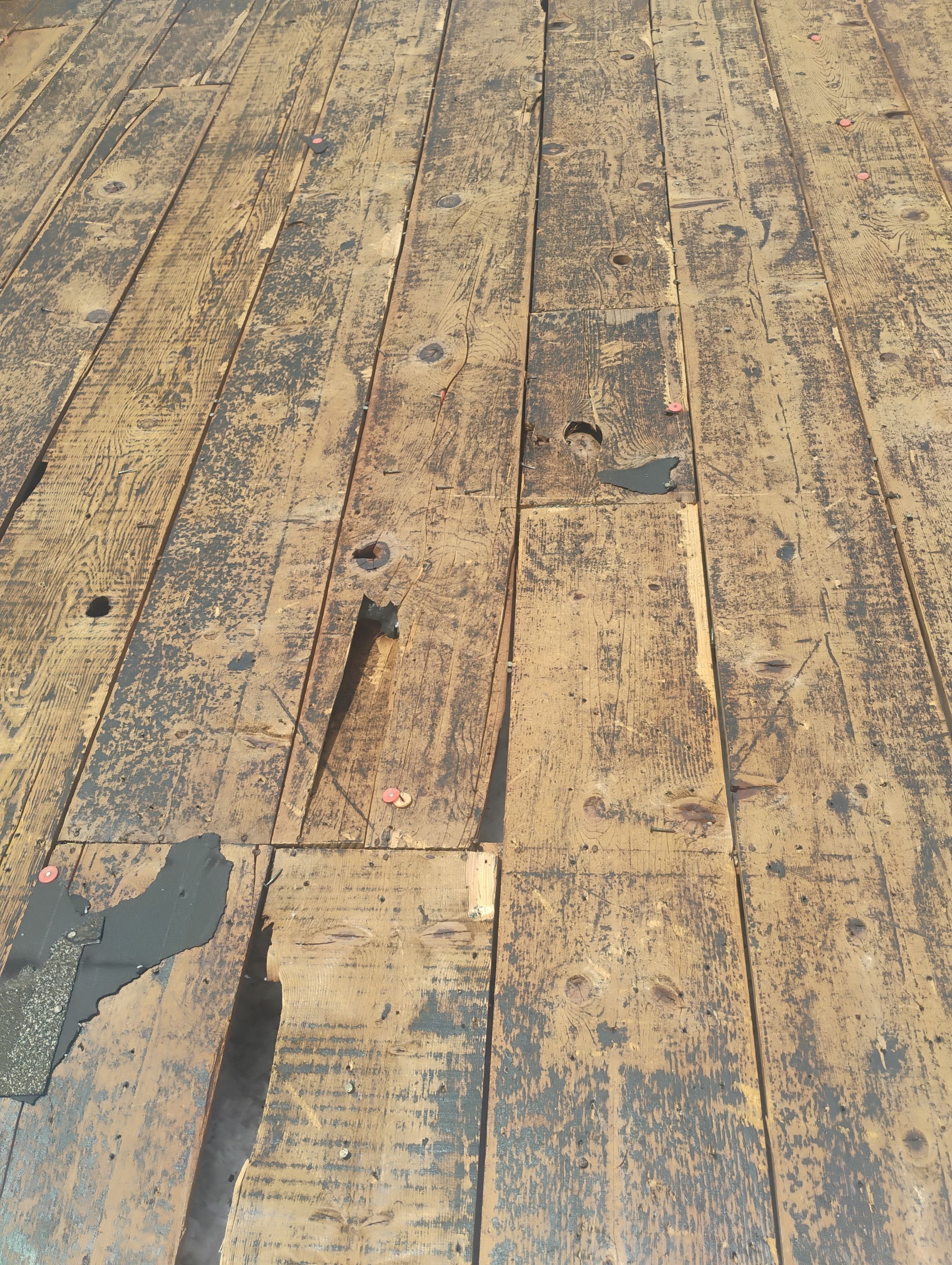 Project in Pinellas Park 33781 by Mitchell Roofing Company LLC
