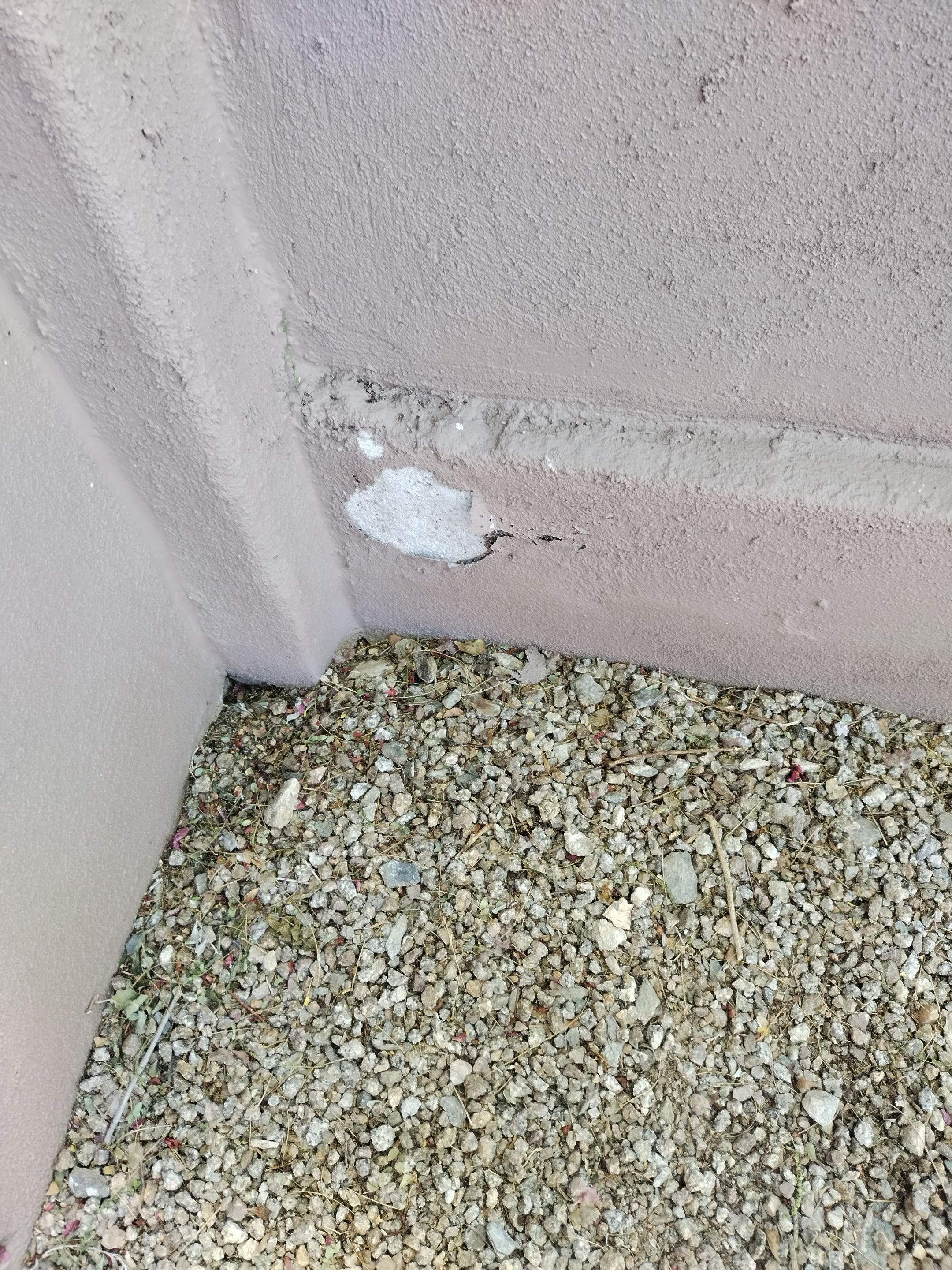 Exterior Painting & Garage Floor Coating - Scottsdale by Crash of Rhinos Painting & Garage Floors