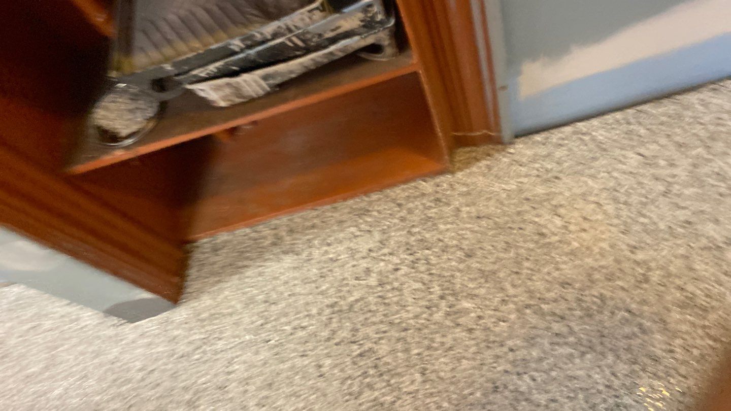 Cat Hospital Project in Pittsburgh by Floors in a Day, Inc