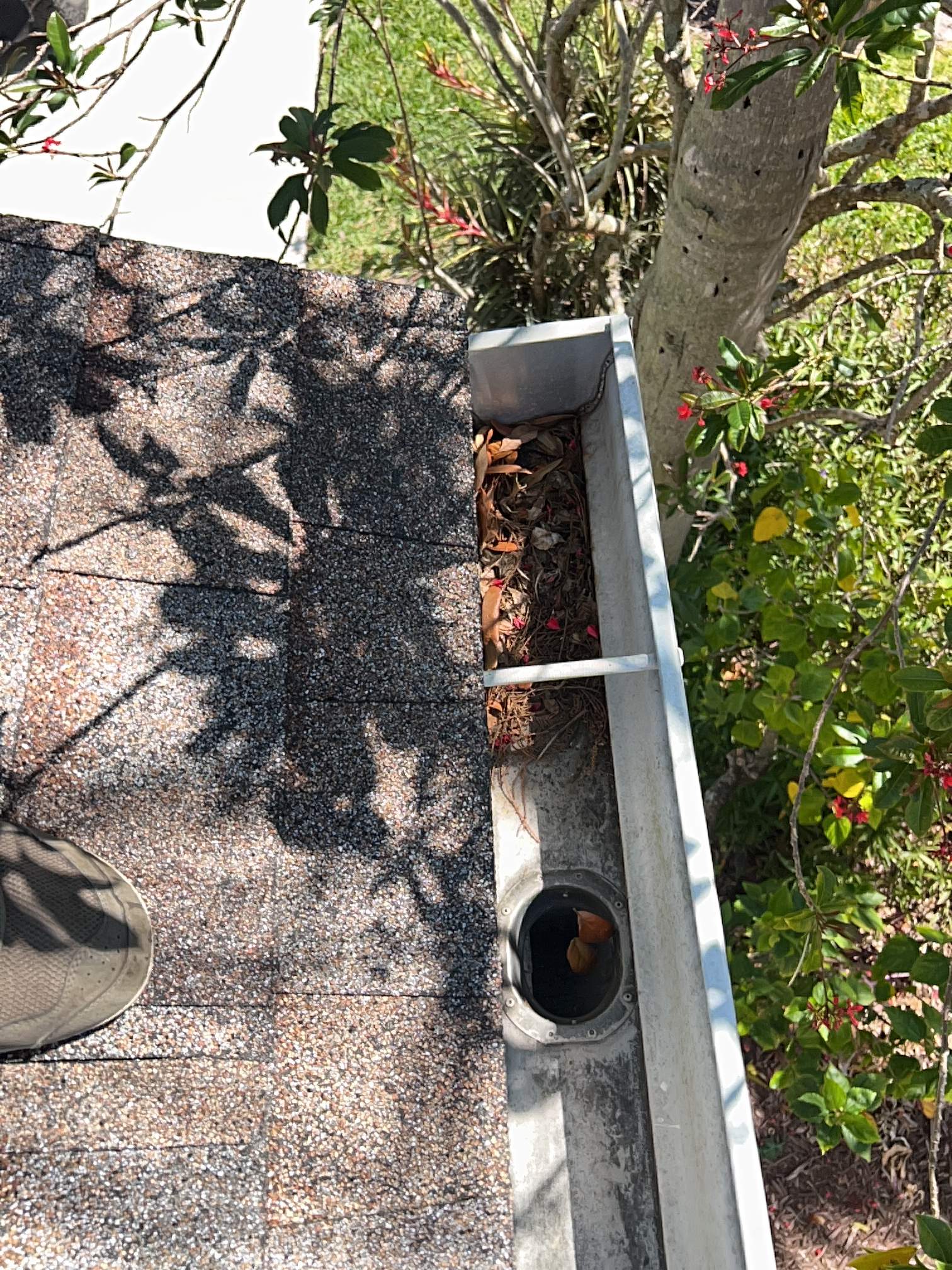 HOA gutter cleaning before photo.