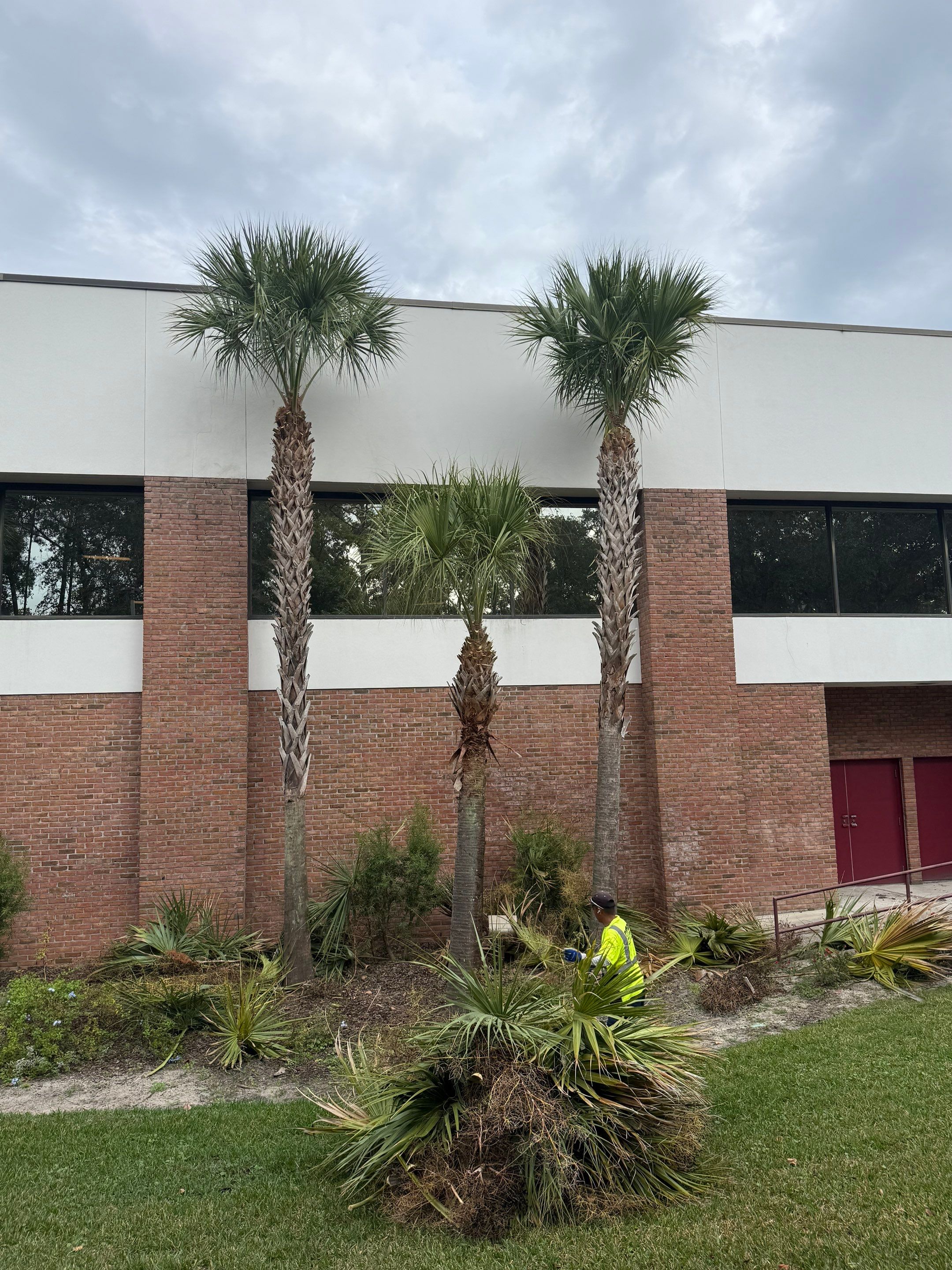 Volunteer Work | Episcopal High School of Jacksonville by ProGreen Services