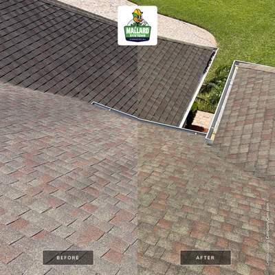 Professional Roof and Exterior Surface Cleaning in Clermont