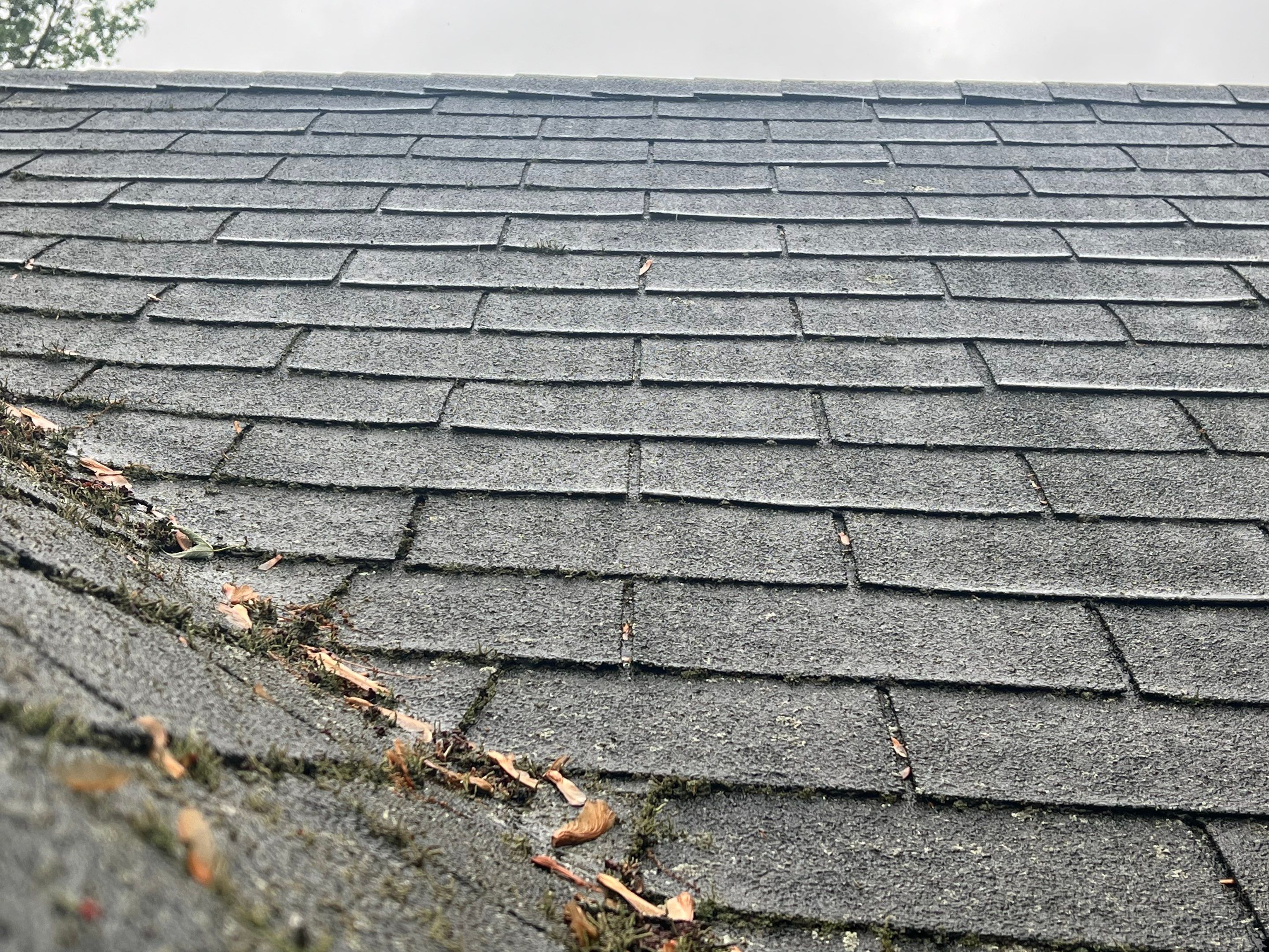Complete Roof Replacement with Ventilation Upgrade by Mighty Dog Roofing of Greater Middlesex County