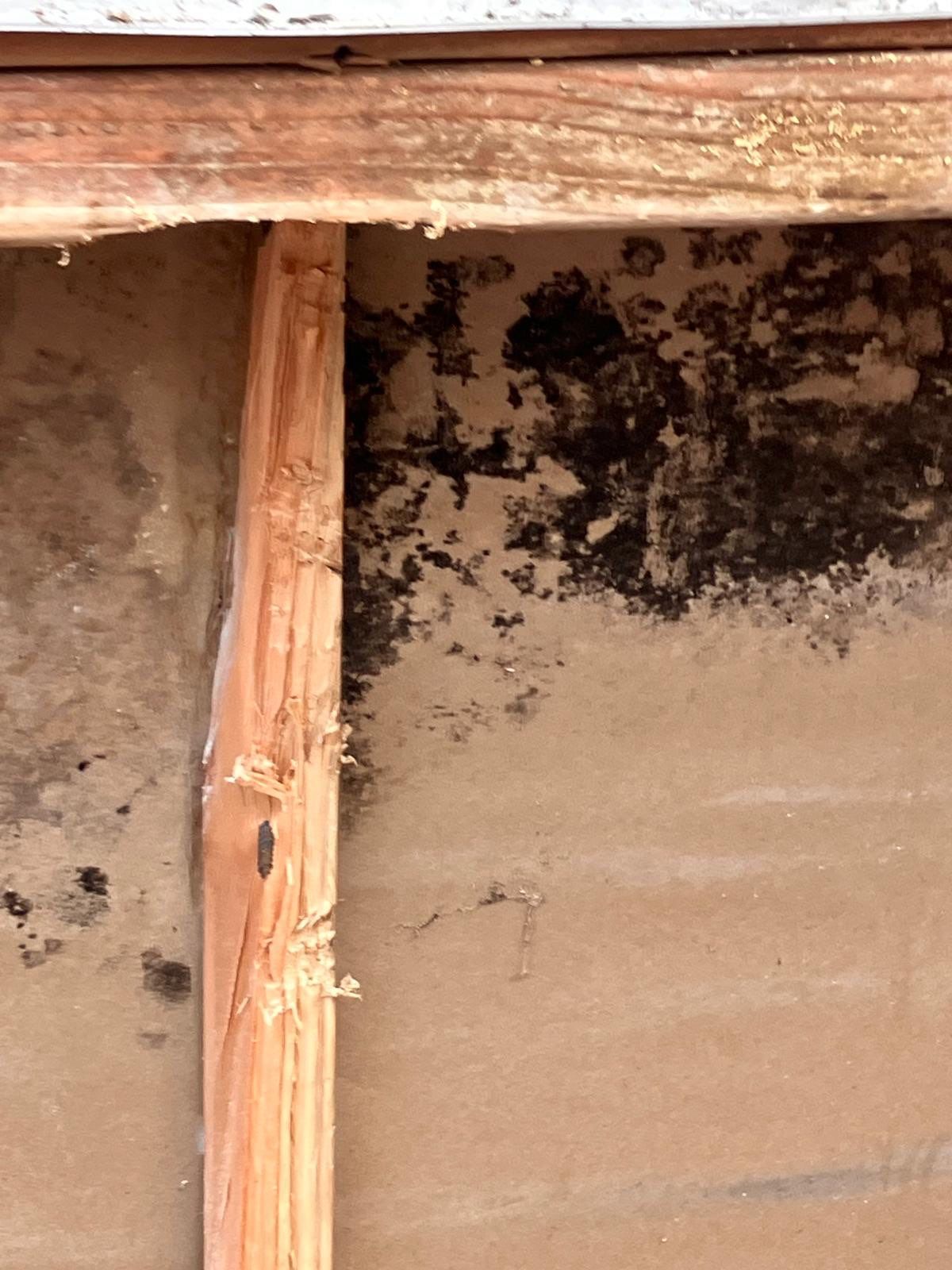 Back Wall Siding Replacement & Breezeway Roof. by Philadelphia Quality Roofing