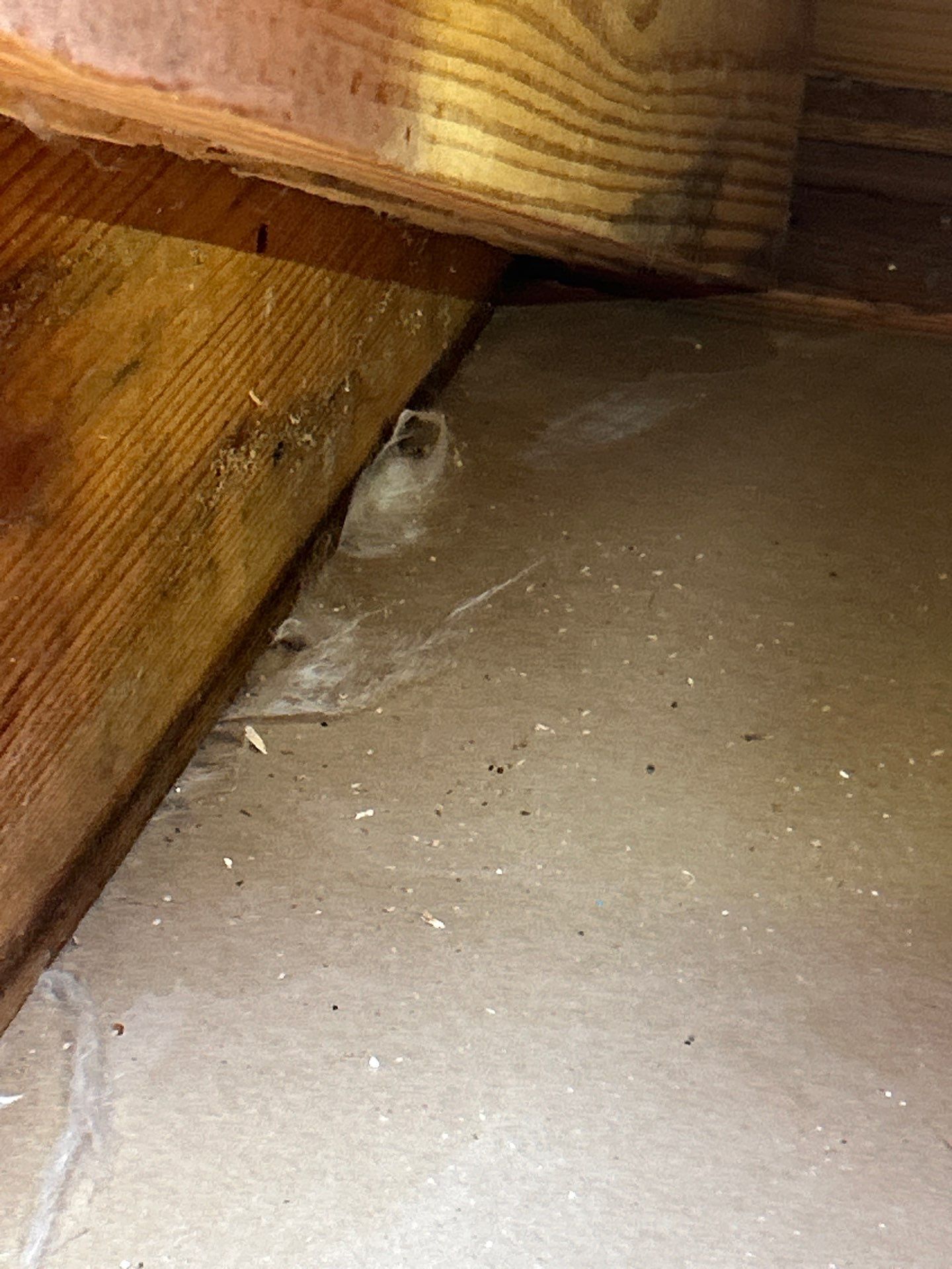 Roof Repair Humble by Roof Repair Services LLC