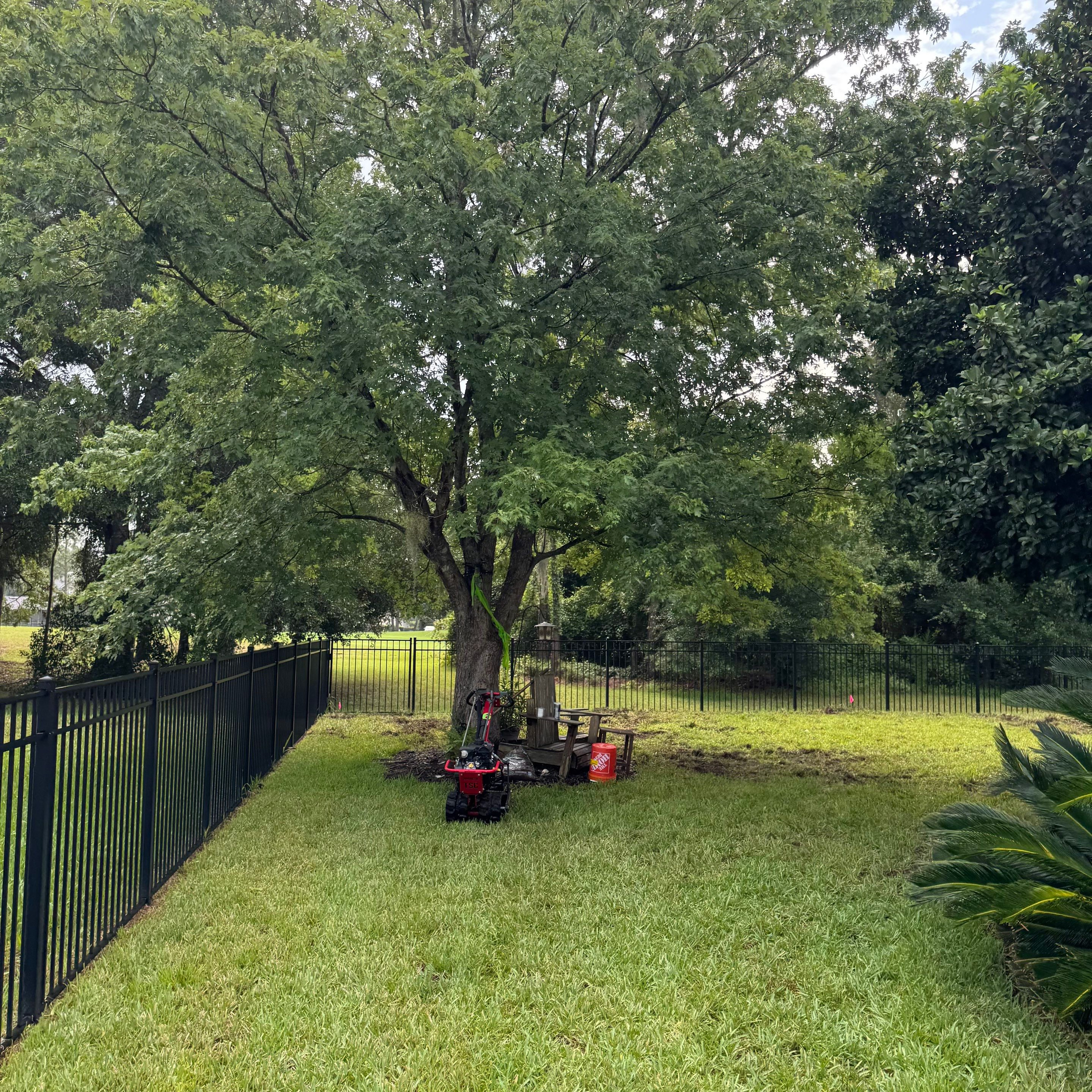 Residential | Sod Installation & Tree Trimming by ProGreen Services
