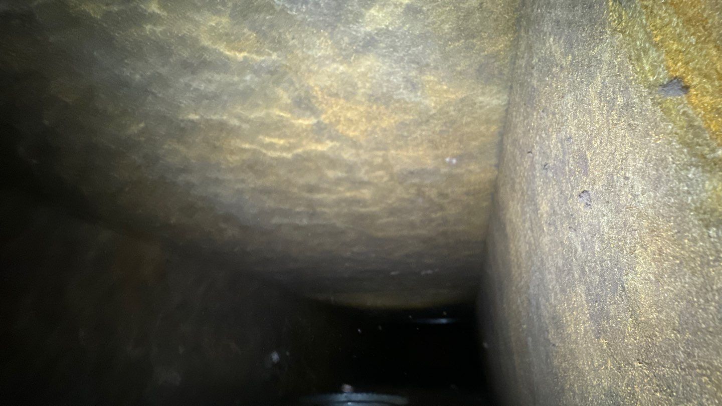 Air Duct Cleaning in Orlando by Hygienic Air, Inc
