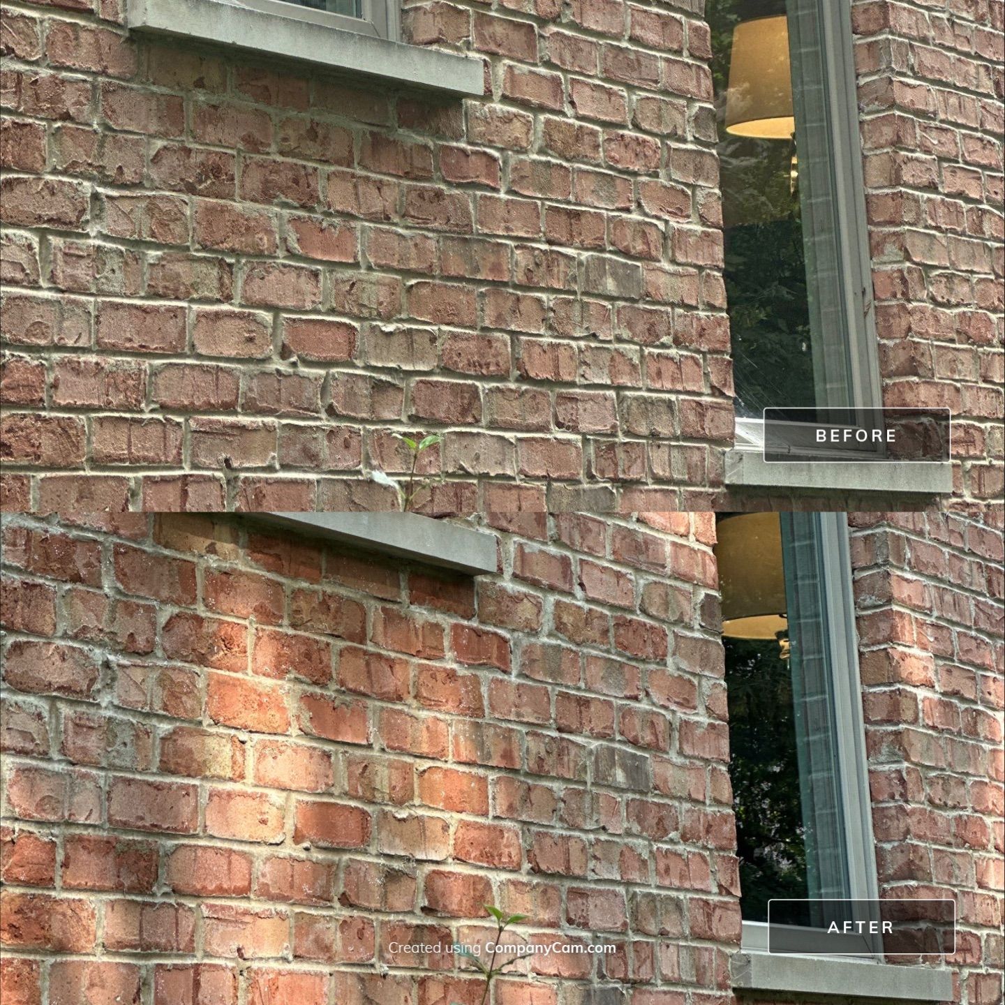 Project in Crystal Lake by Simmons Power & Soft Washing