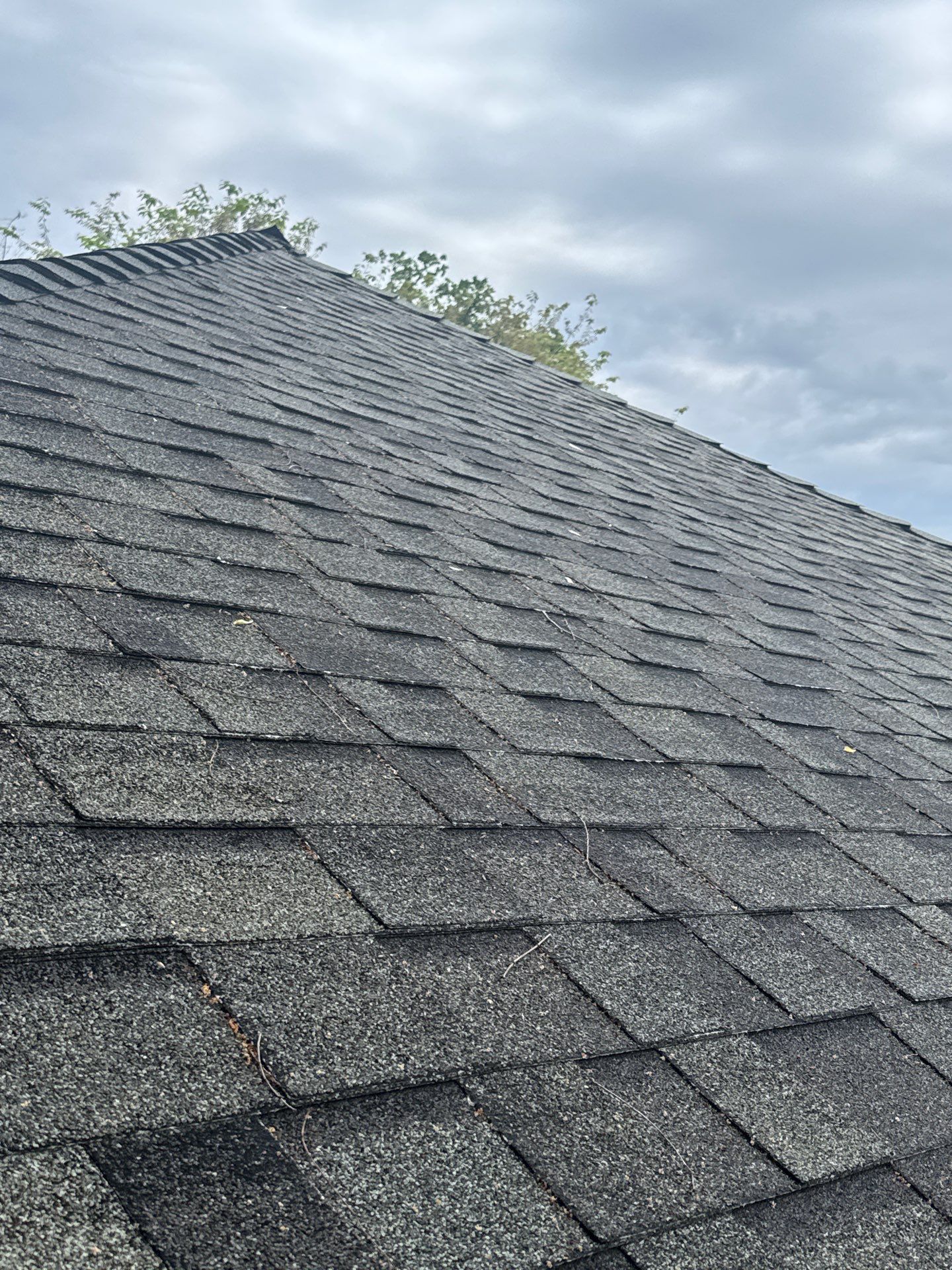 Roof Rejuvenation using Roof Maxx Treatment by Roof Maxx of Folsom