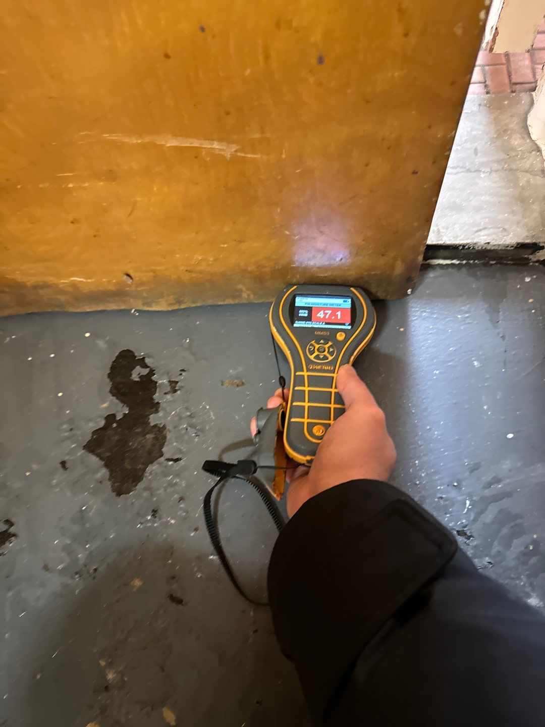 Project in Oak Park by EzDry Water Mitigation & Property Restoration