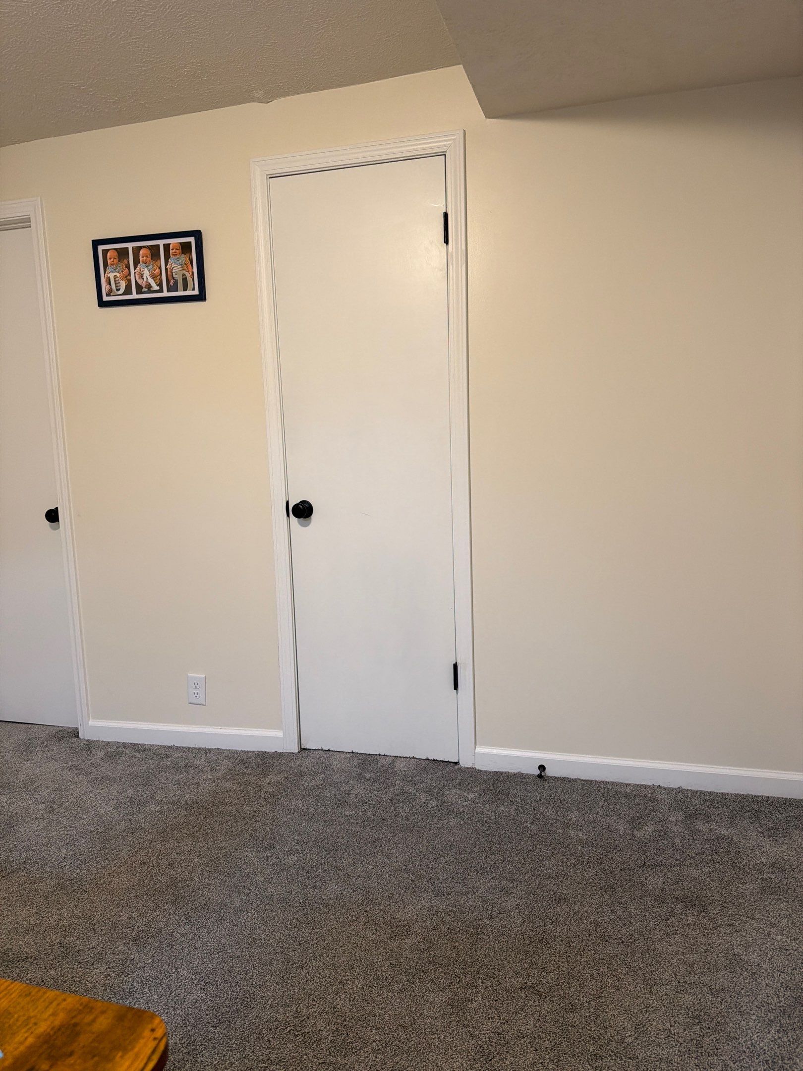Modern Basement Interior Renovation with New Doors and Carpeting by CompanyCam Sales Demo