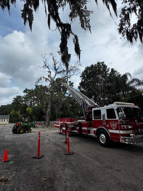 Tree Removal | Episcopal School of Jacksonville by ProGreen Services