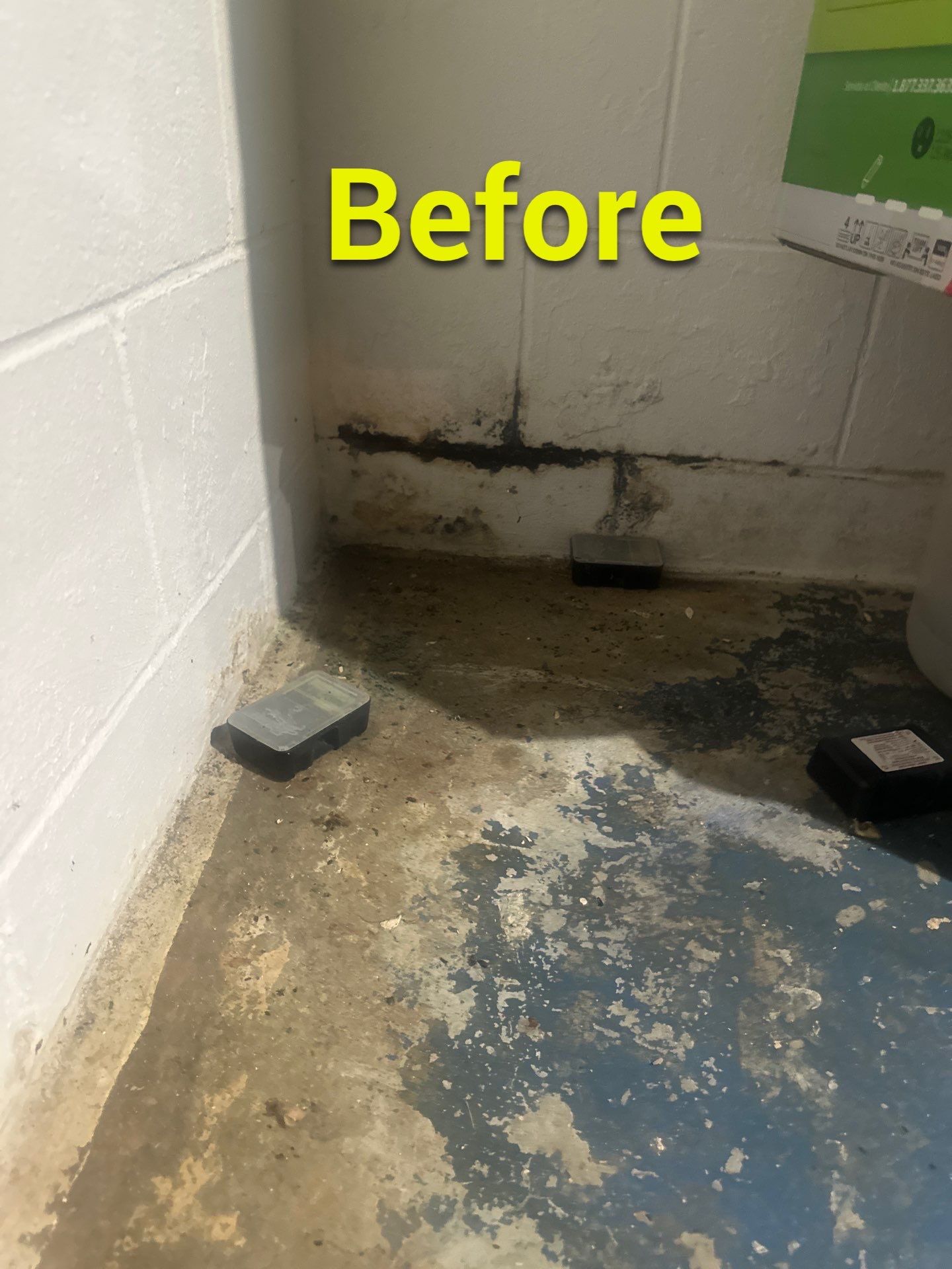 Port Byron Waterproofing/Vapor Barrier/Egress Windows by ACE Waterproofing & Basement Solutions