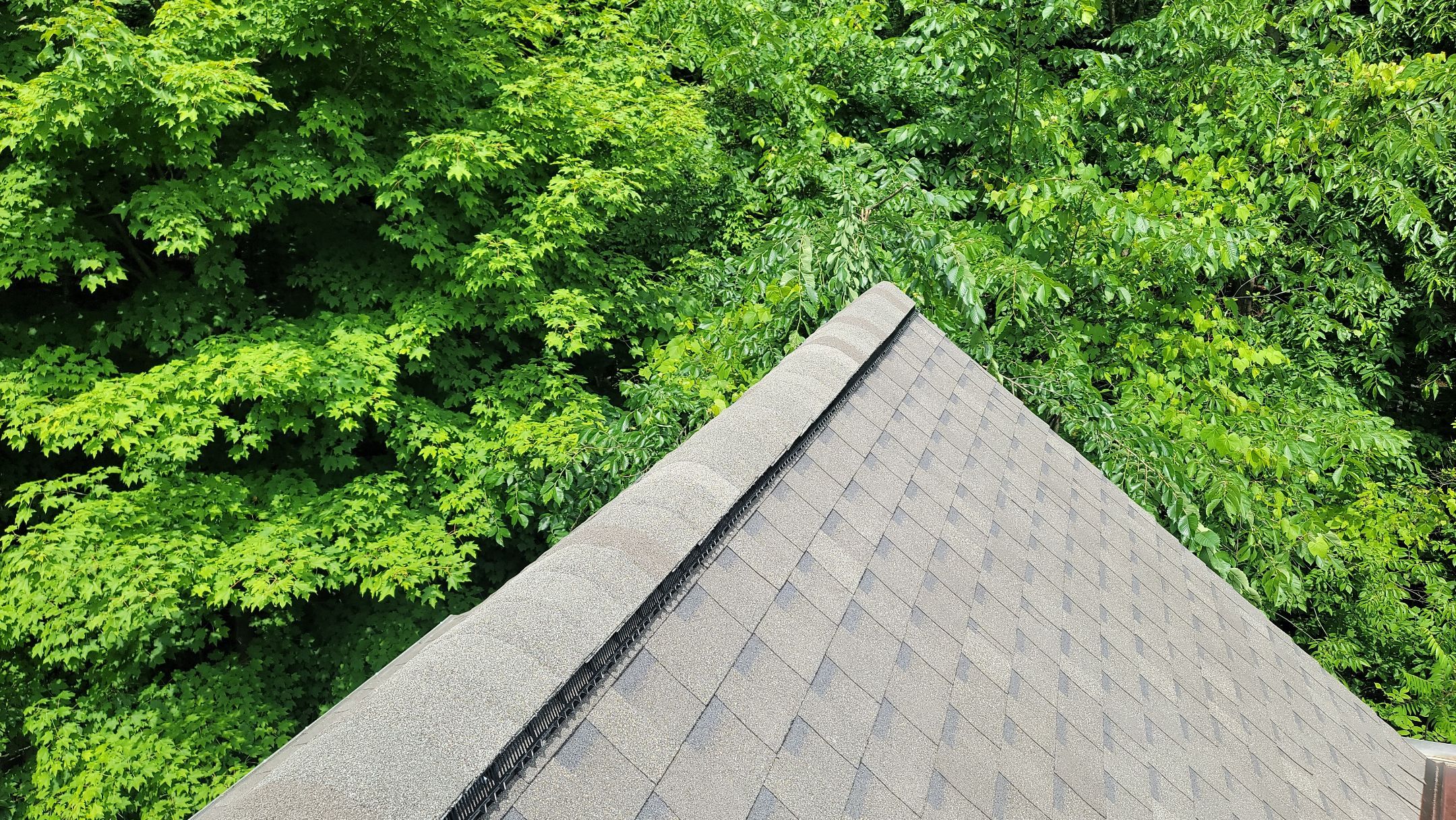 ATLAS PINNACLE HP W/SCOTCHGARD COLOR: WEATHERED WOOD by Eagle Eye Roofing