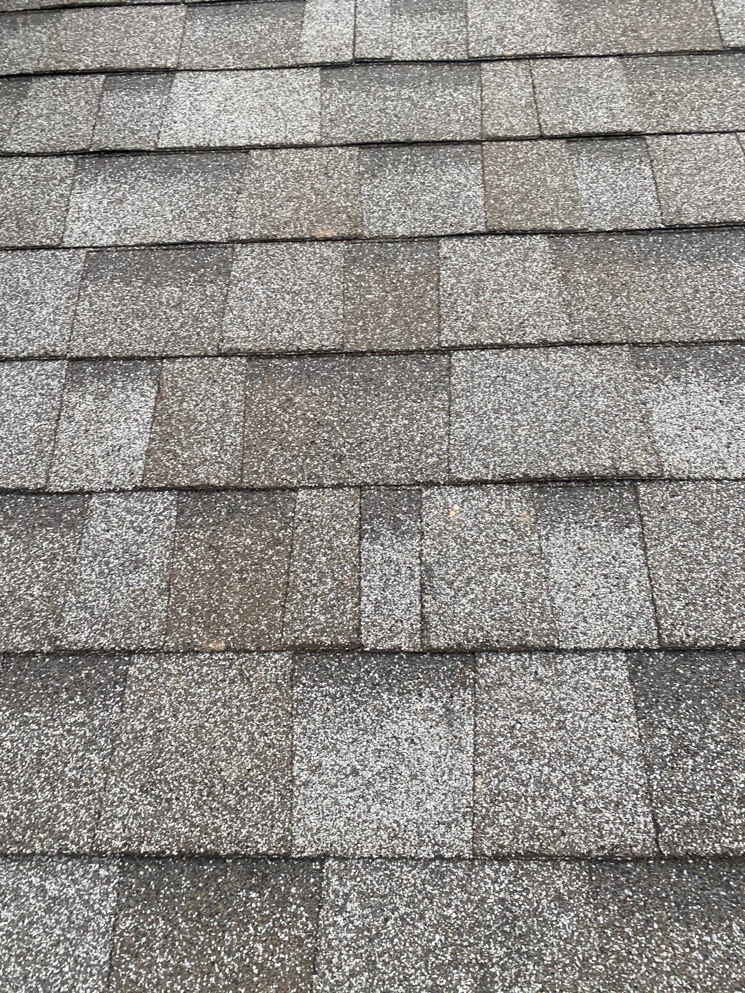 Lakewood Roof Install by Absolute Roofing and Construction