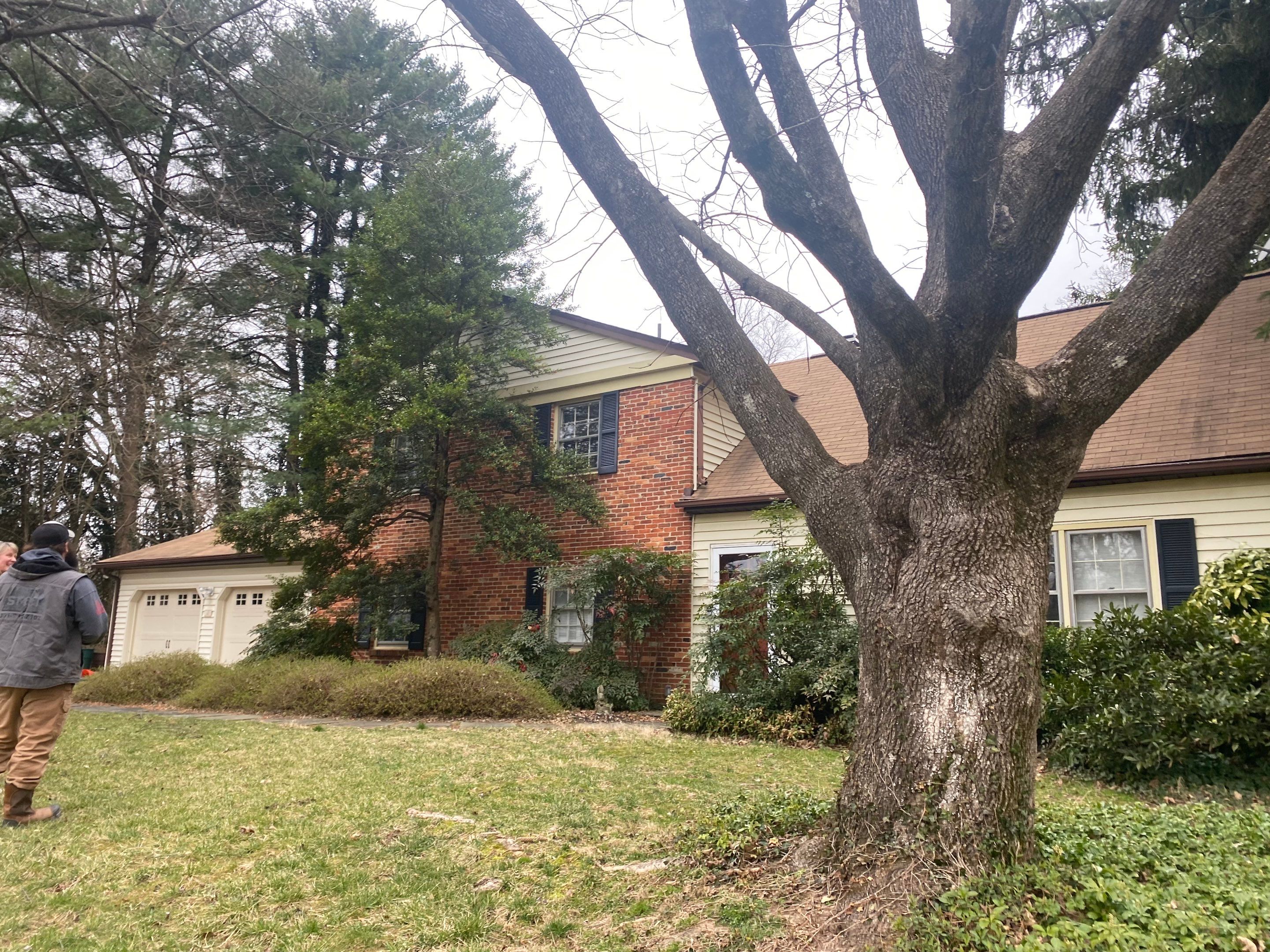 Landscape cleanup & drainage by The Smet Companies, LLC