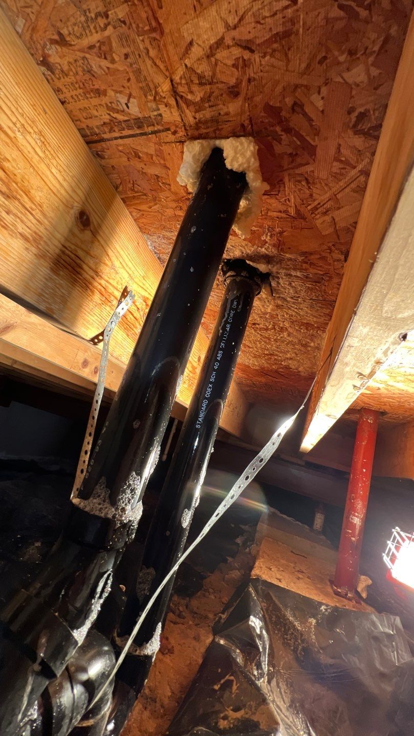 Mold Damage by Accountable Home Services