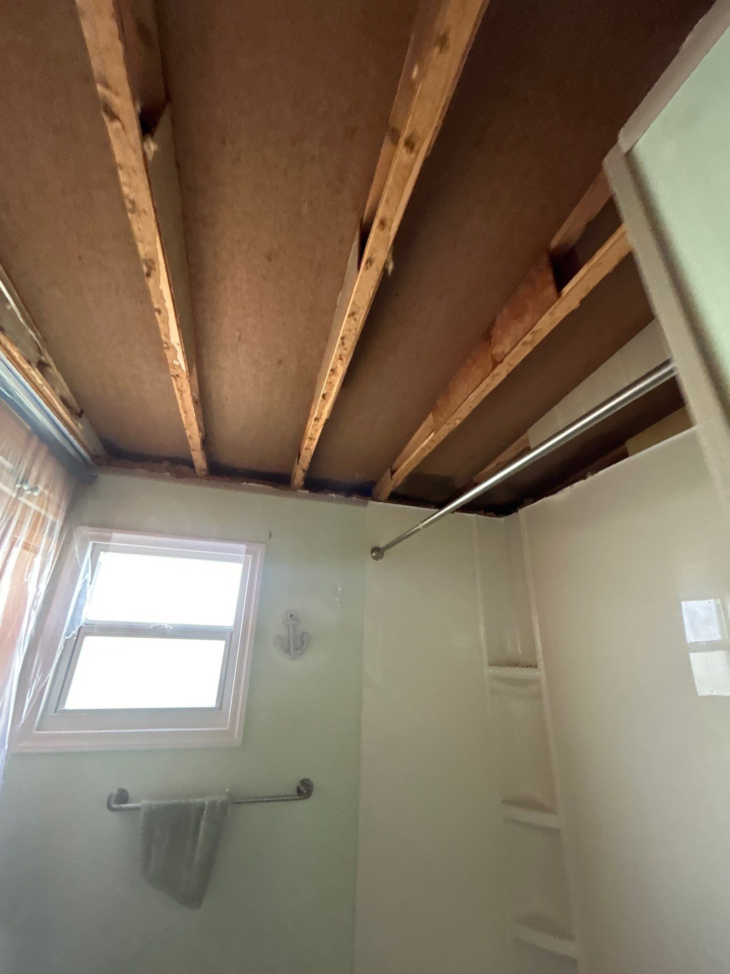 Mold Damage Inspection And Repair In Palmetto FL by Ampm Restoration Services