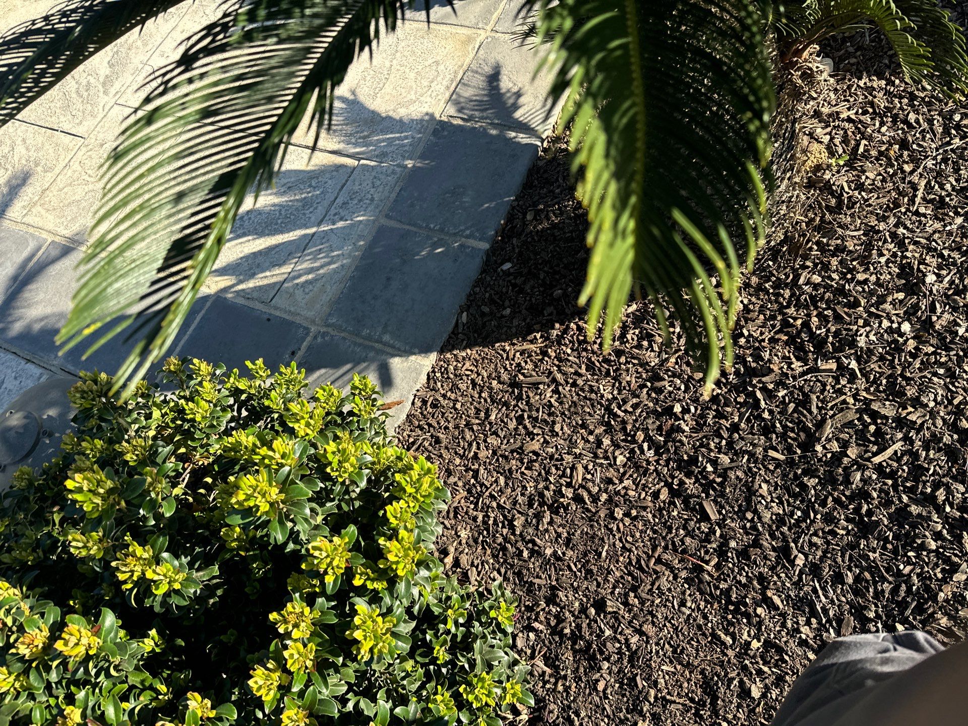Solar Roof Leak Repair  by Grandmark Service Company