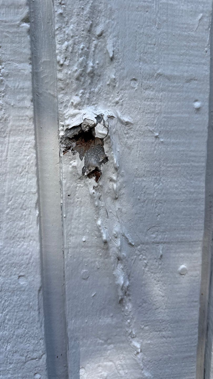 Exterior Painting and Repairs  by EXCELLENCE | CARTO