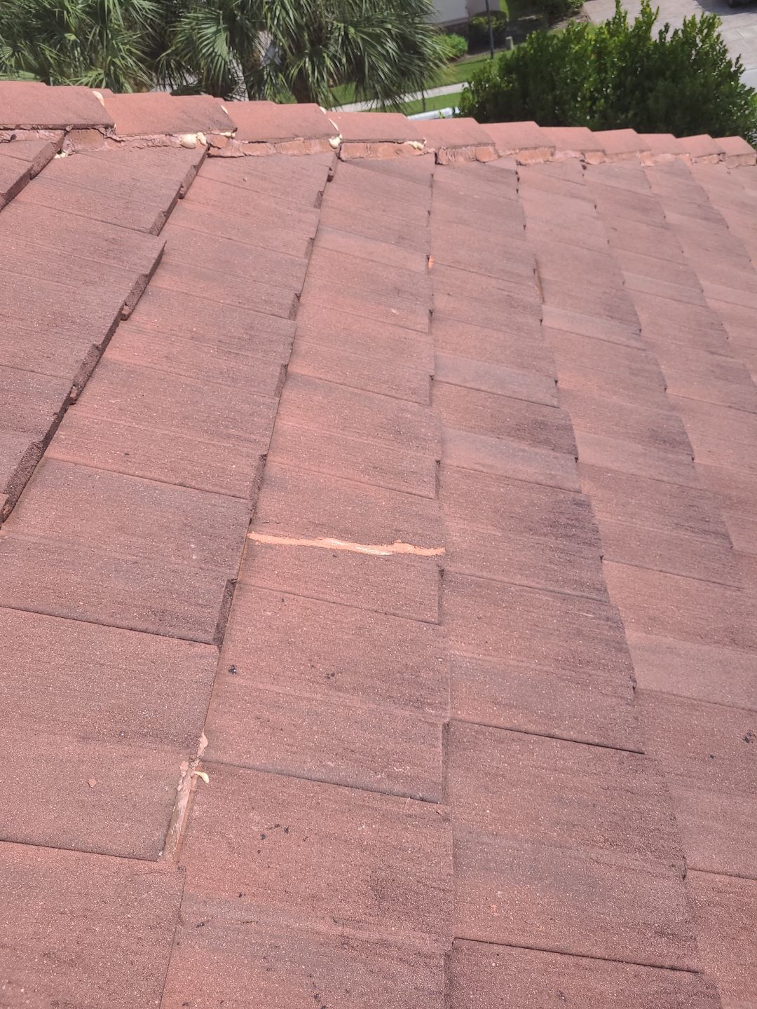 Tile Roof Repair in Wellington – Expert Craftsmanship & Reliable Service by Aastro Roofing
