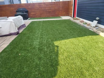 Backyard Lawn in Indianapolis