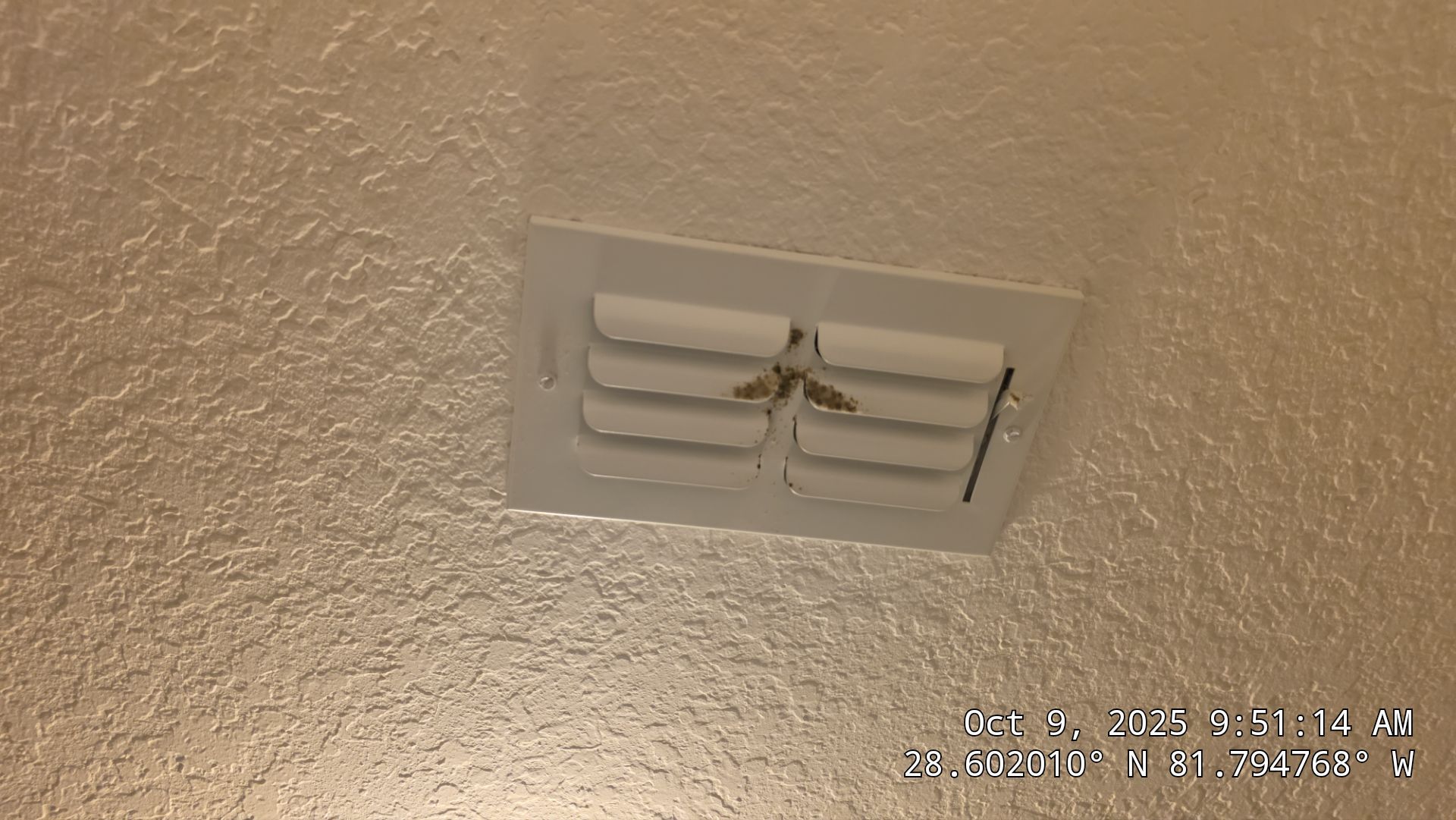 Air Duct and Dryer Vent Cleaning in Groveland by Hygienic Air, Inc