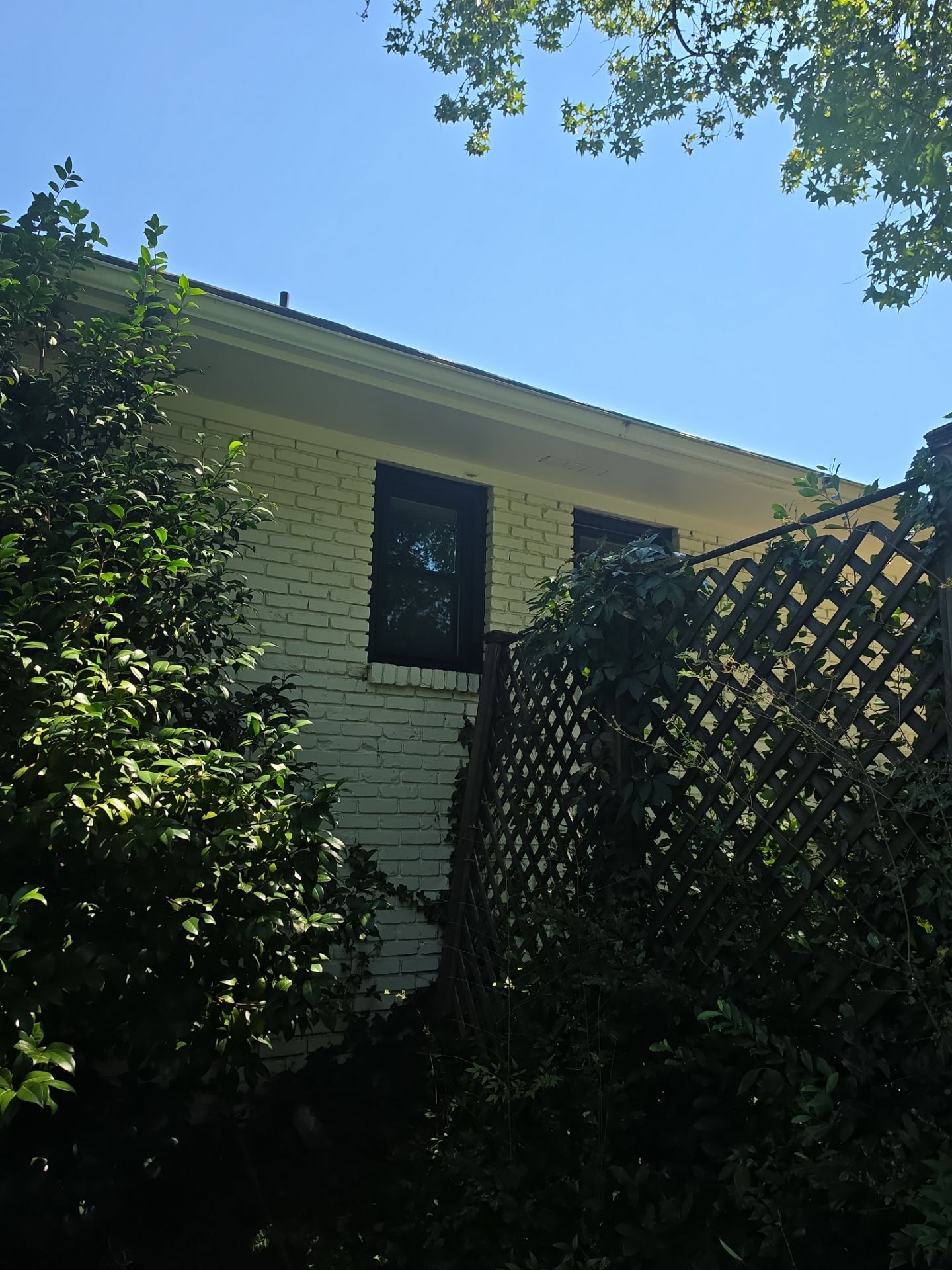 Taylor Project in Hoover by The Window Source