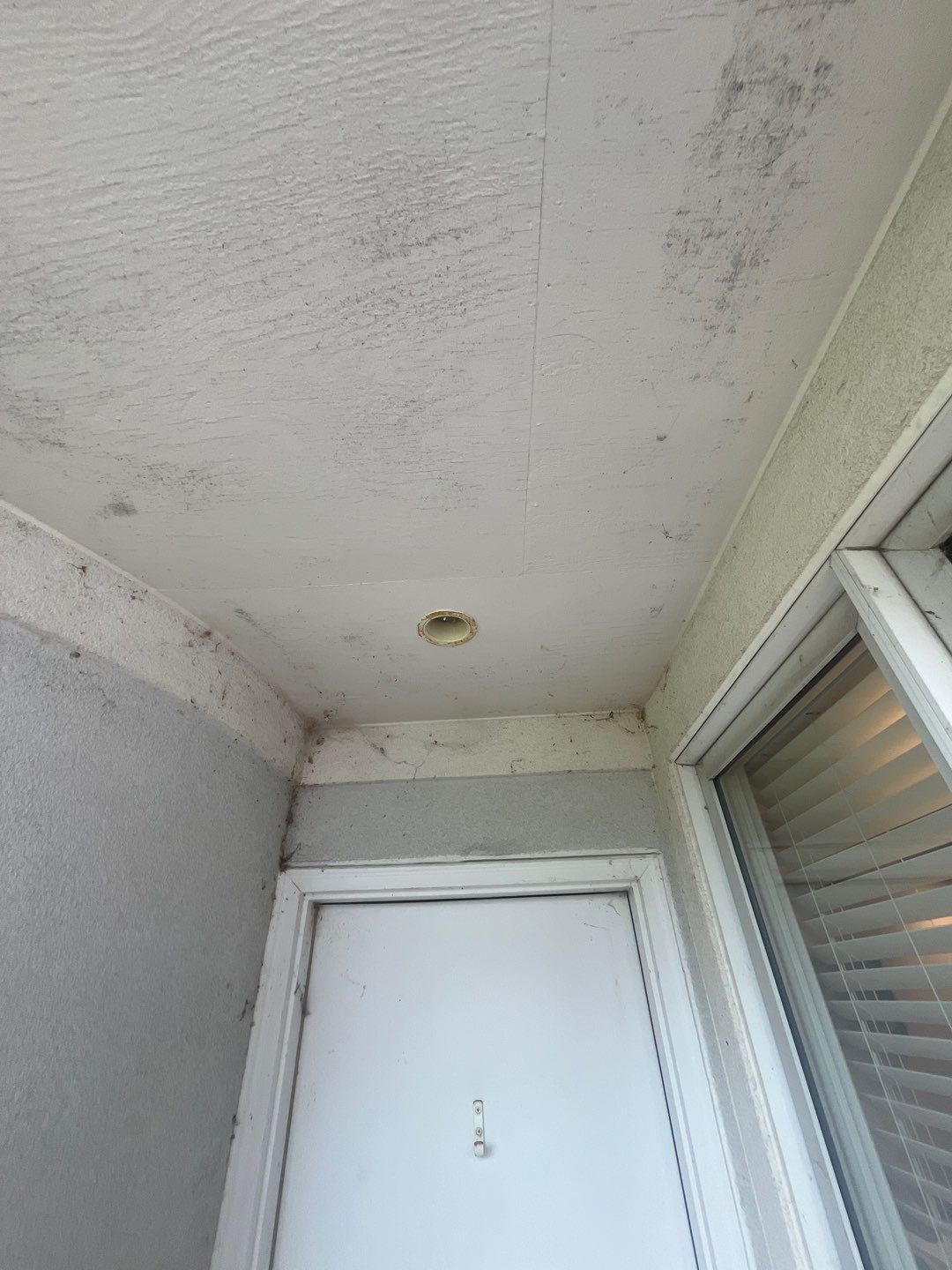 dryvit using Algaecide, soft wash soap by Northern Power Washing LLC.