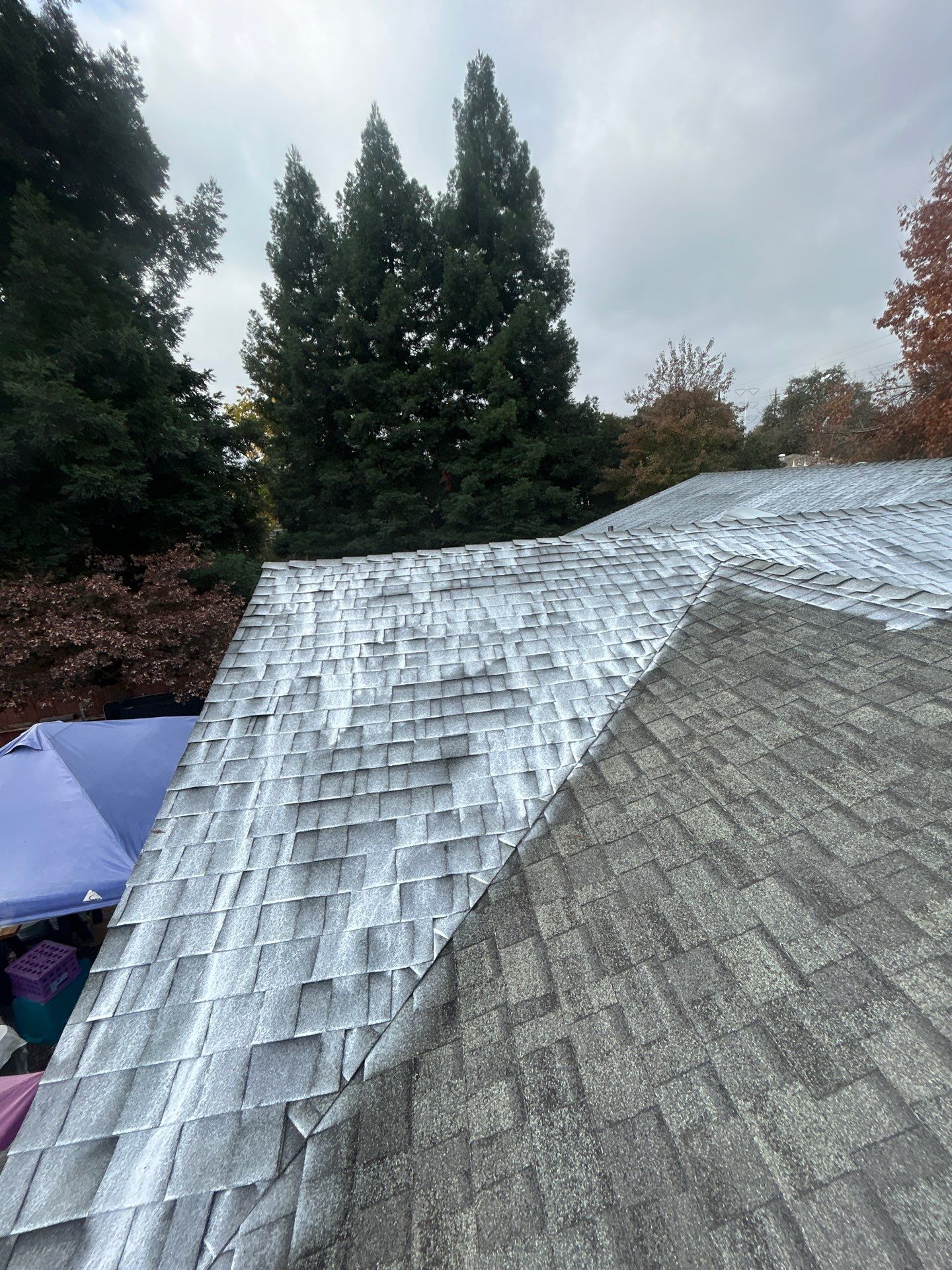 Roof Rejuvenation using Roof Maxx Treatment by Roof Maxx of Folsom