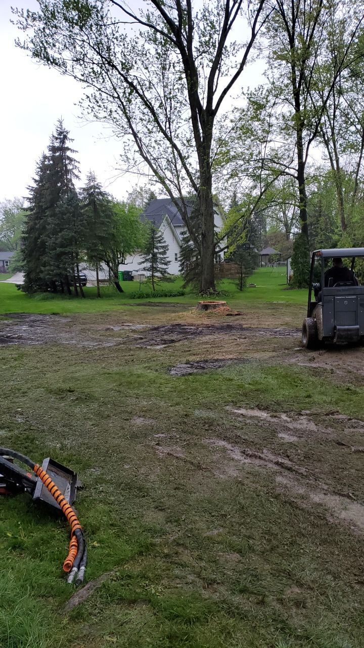 Tree Removal using Tree Removal by Mike Jones & Sons Tree Service LLC 